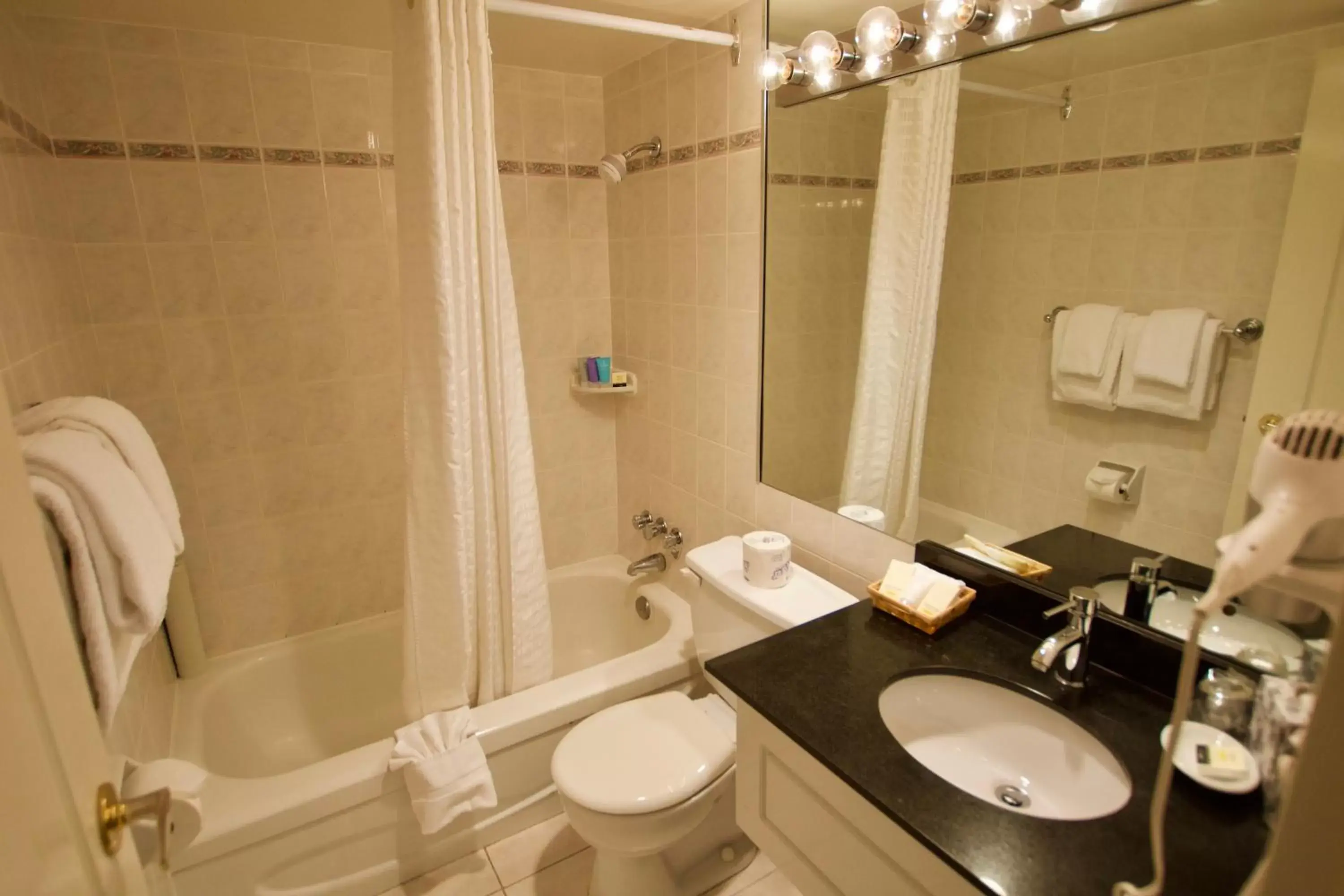 Toilet, Bathroom in Century Plaza Hotel