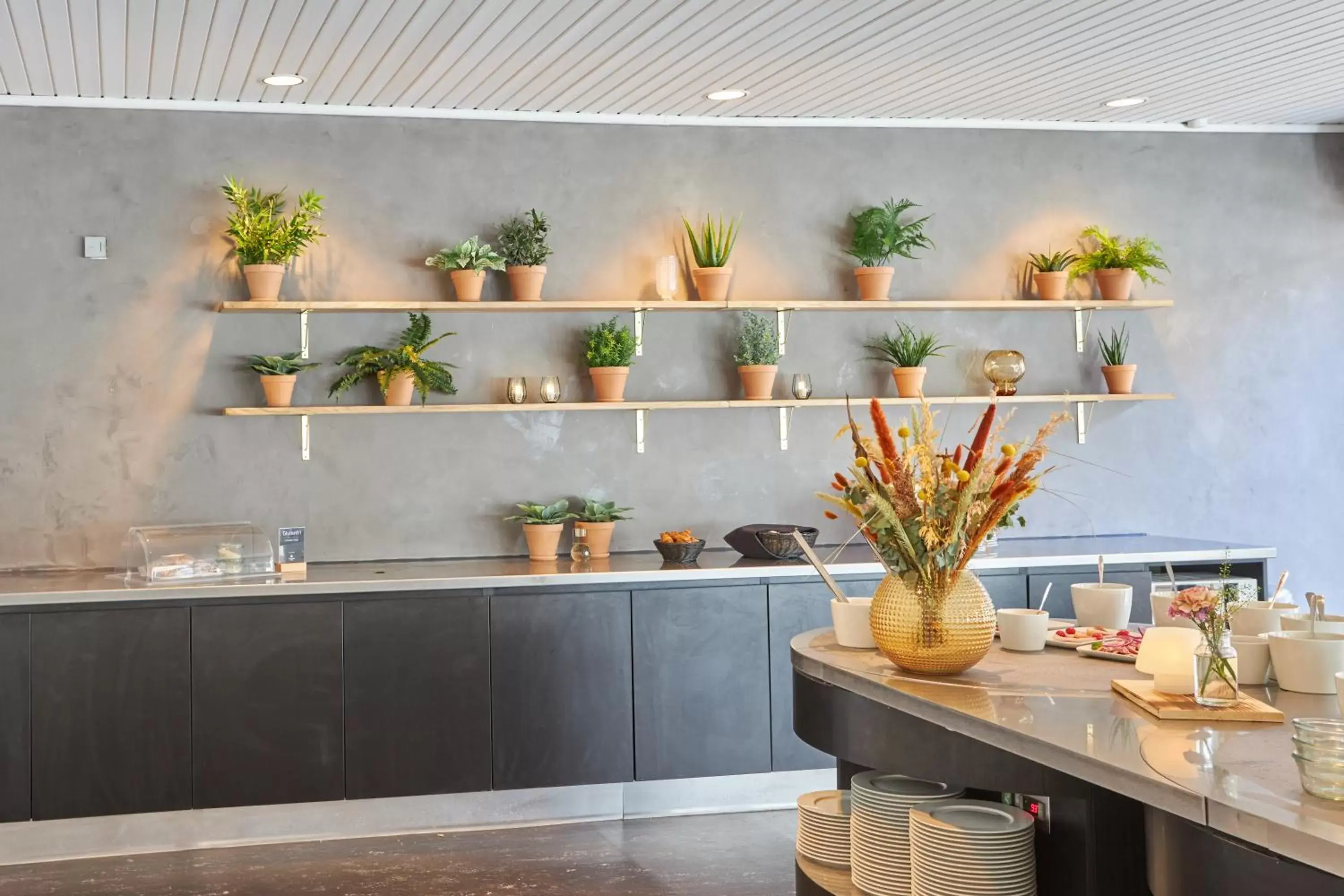 Breakfast in Color Hotel Skagen Breakfast in Color Hotel Skagen