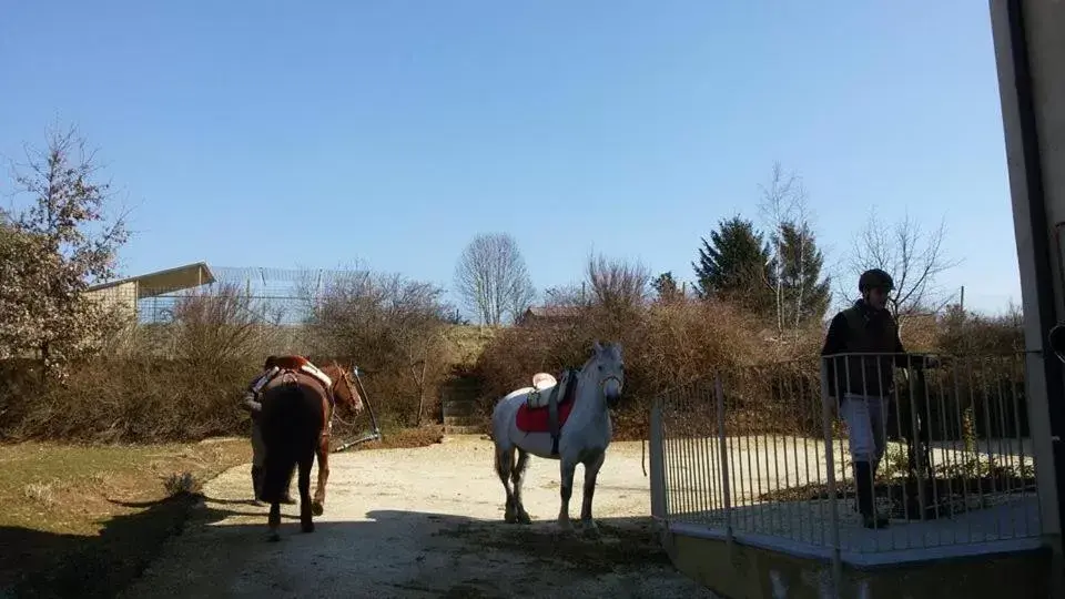 Horse-riding, Horseback Riding in Florario B&B