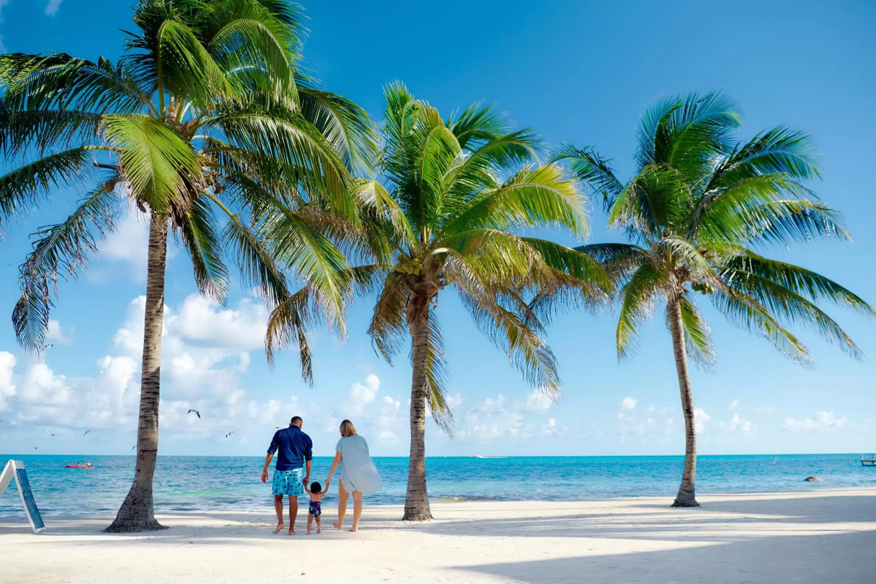 Beach in SunBreeze Hotel