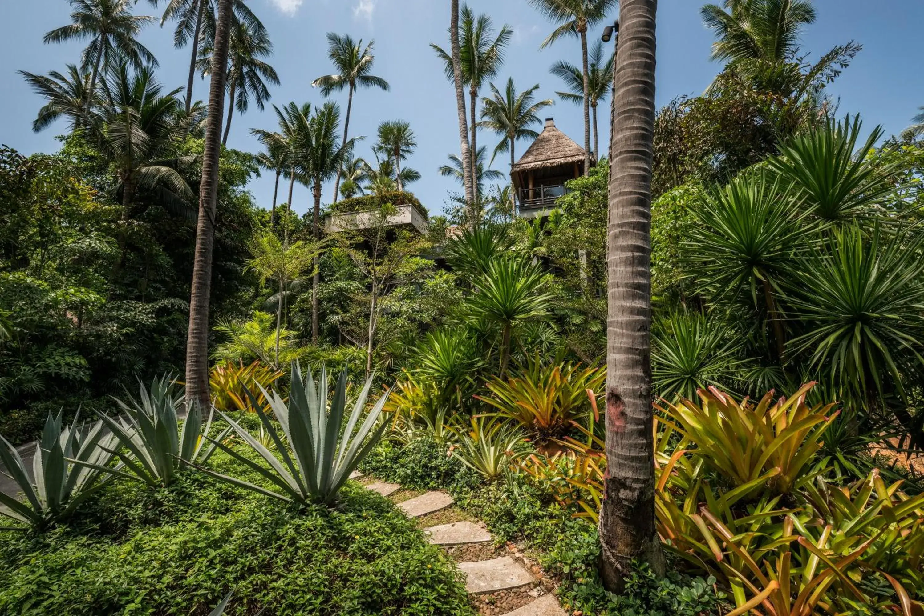 Garden in Four Seasons Resort Koh Samui