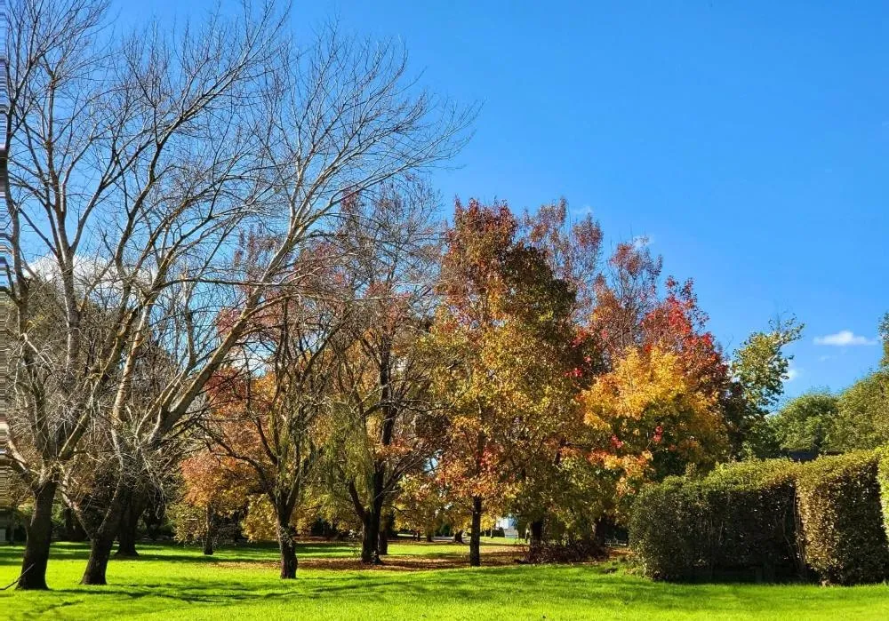 Briars Country Lodge