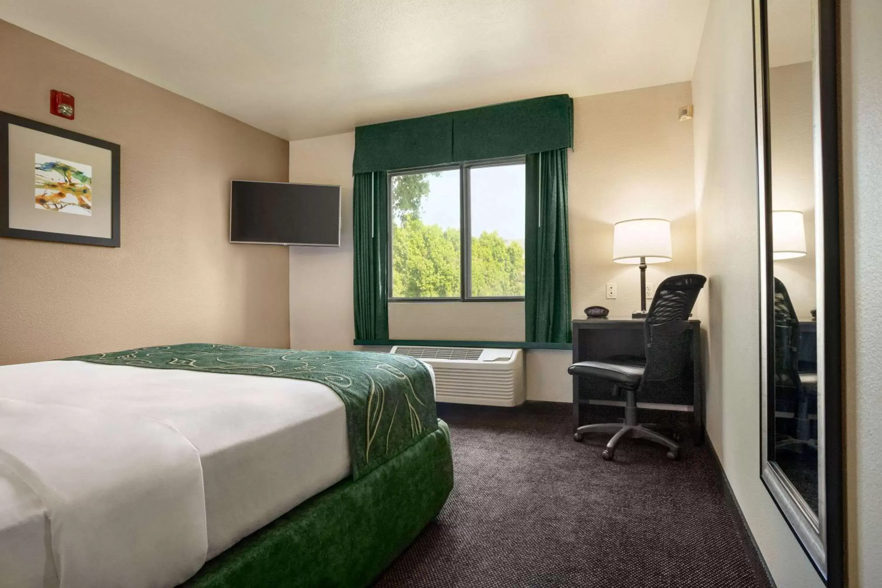 Queen Room - Mobility Access/Non-Smoking - Not Pet Friendly in Travelodge by Wyndham Yuma