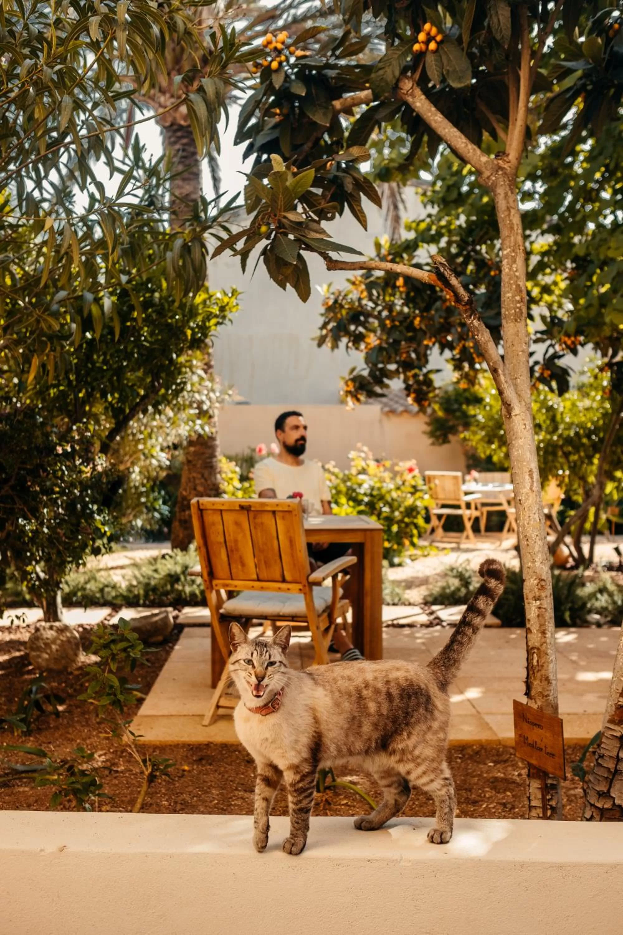 Garden view in Hotel Boutique Can Pocovi