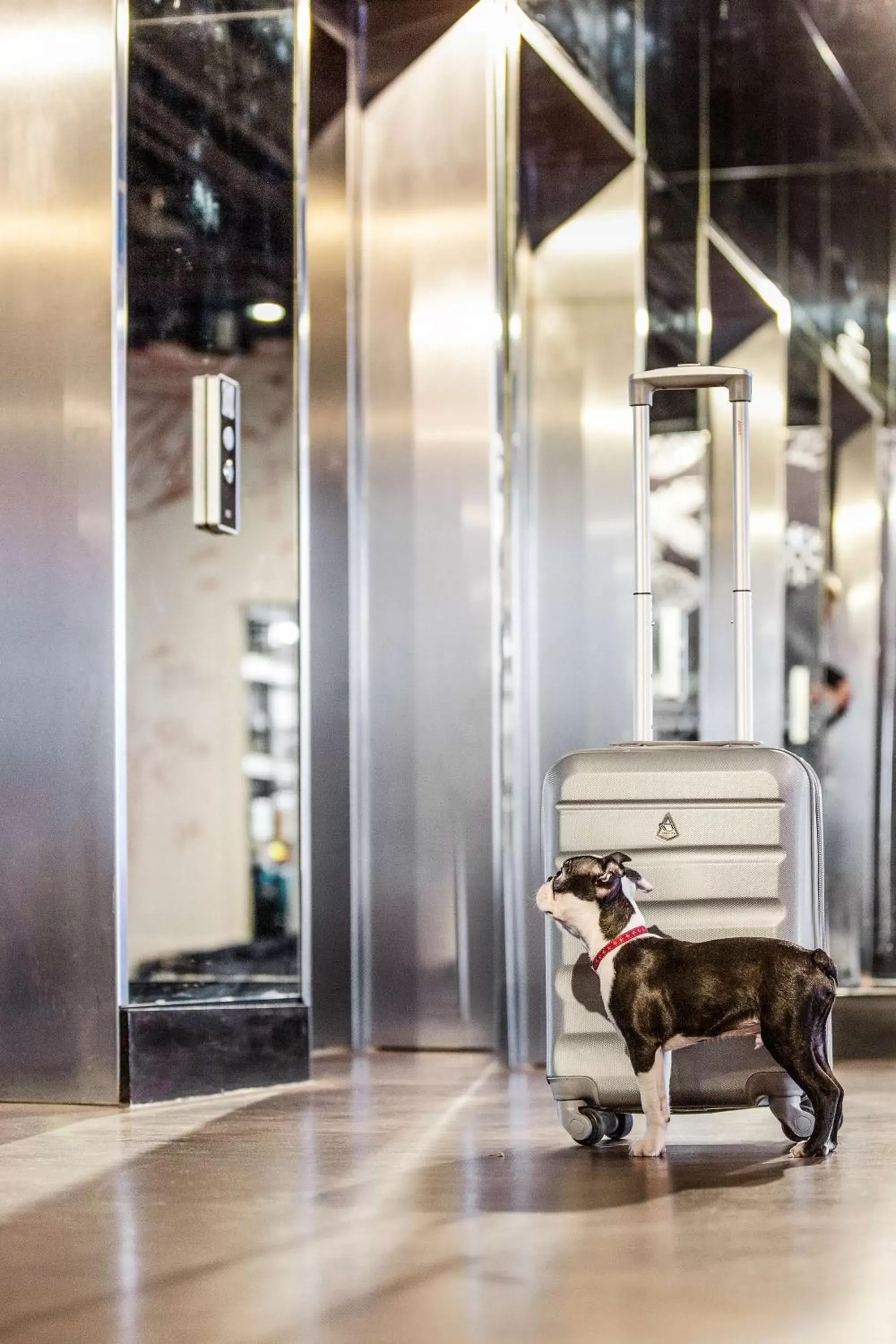 Lobby or reception, Pets in Radisson RED Hotel, Glasgow