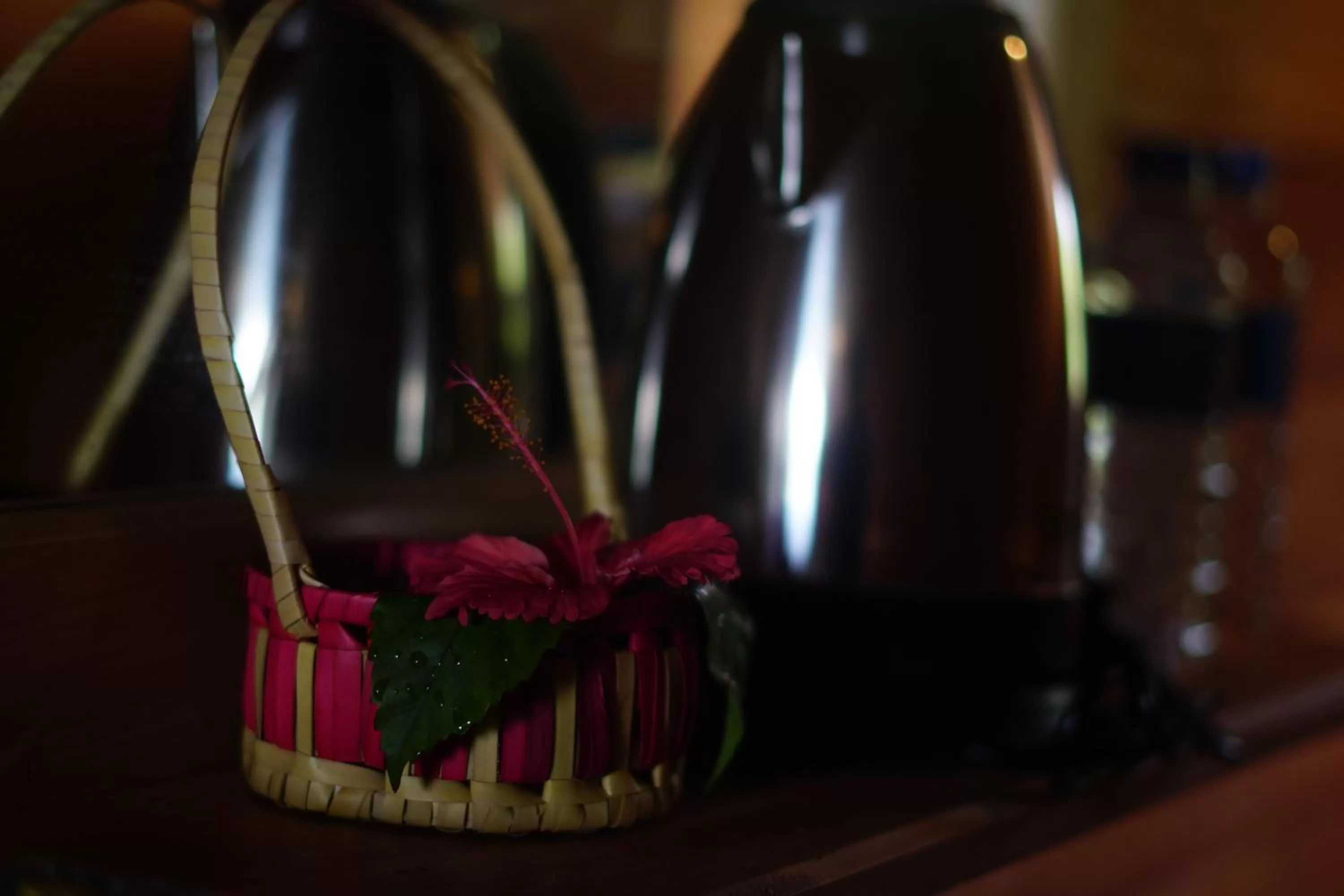 Turtle Bay Beach Resort