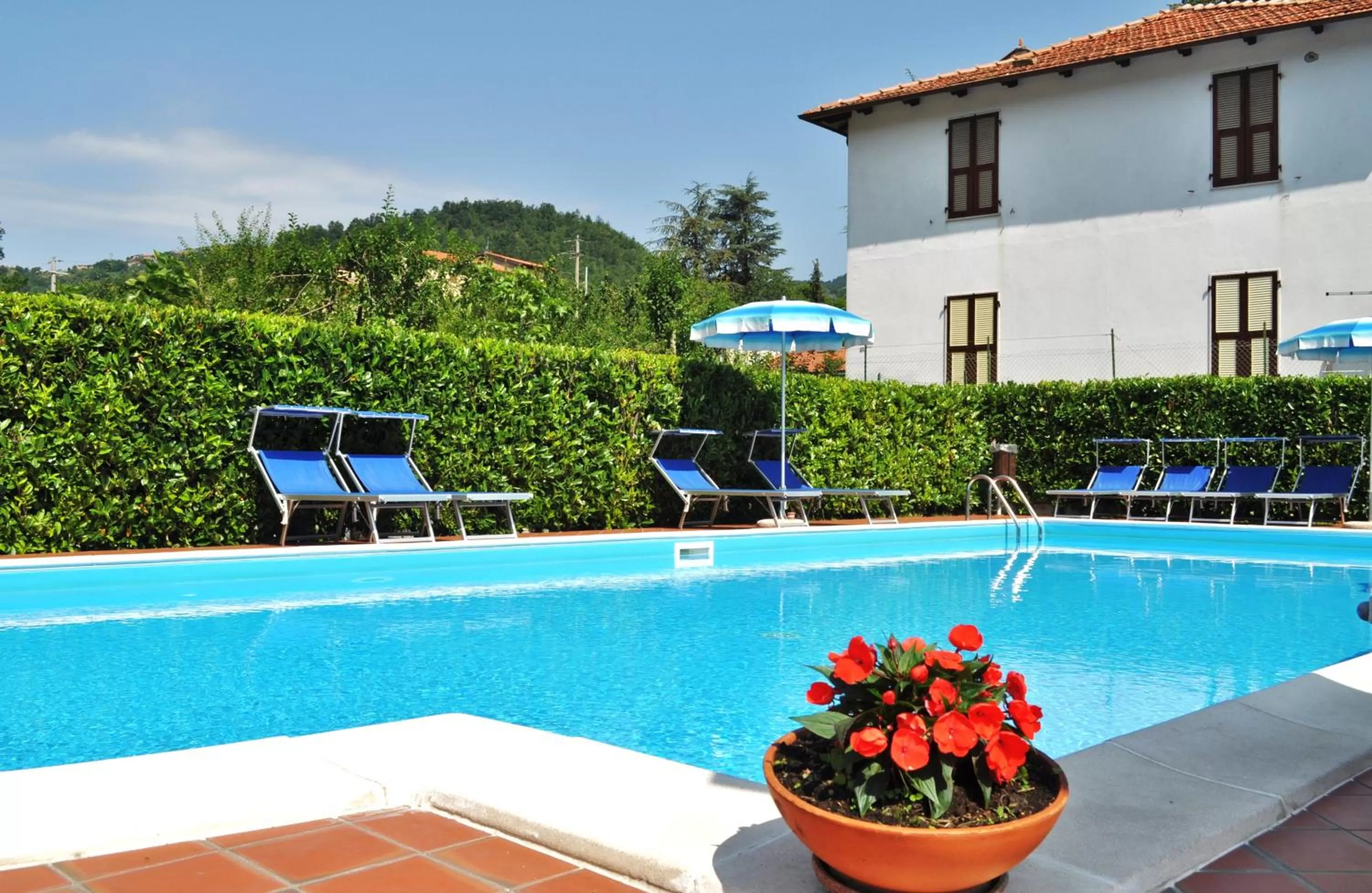 Swimming pool in Albergo Miramonti