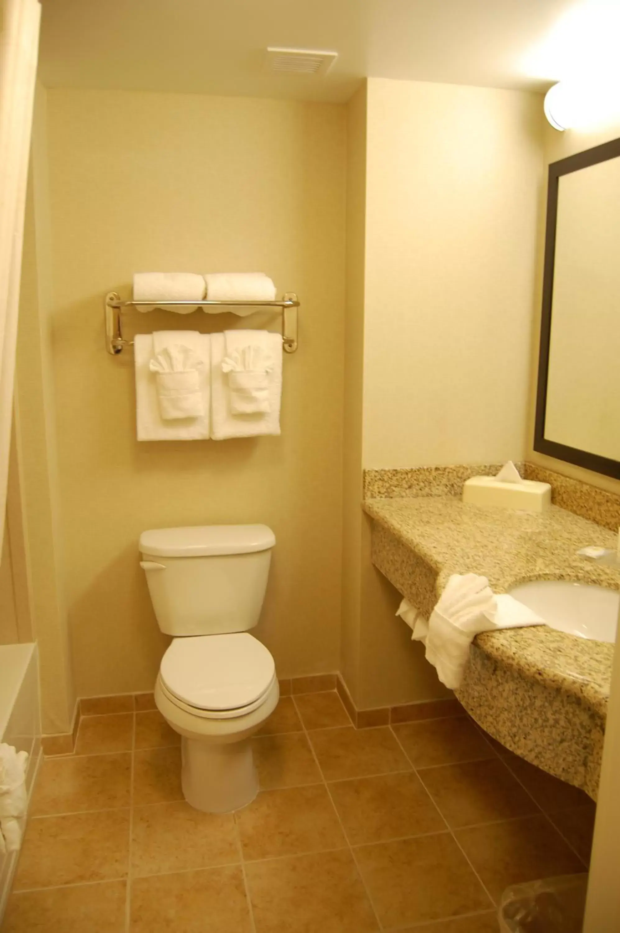 Toilet, Bathroom in Comfort Inn & Suites Lexington Park