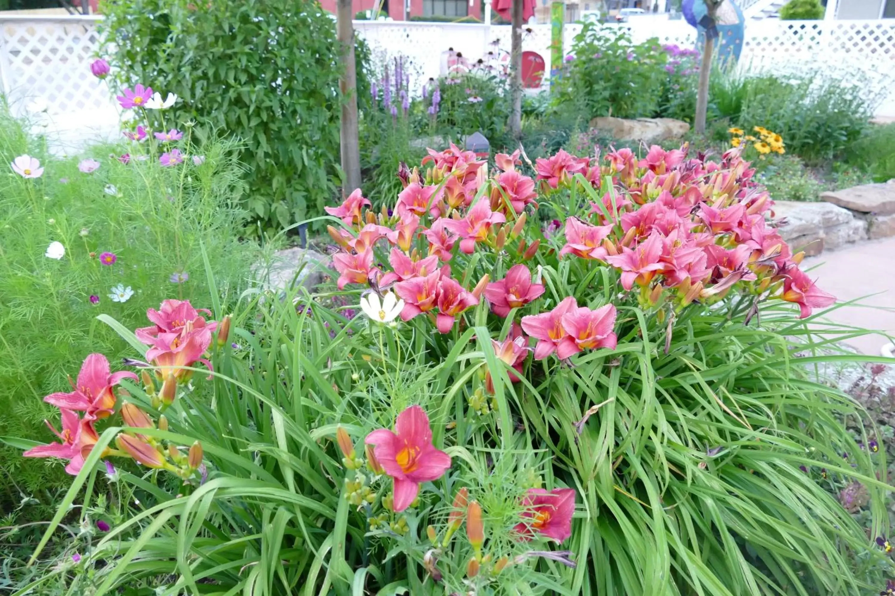 Garden in Red Wing Motel