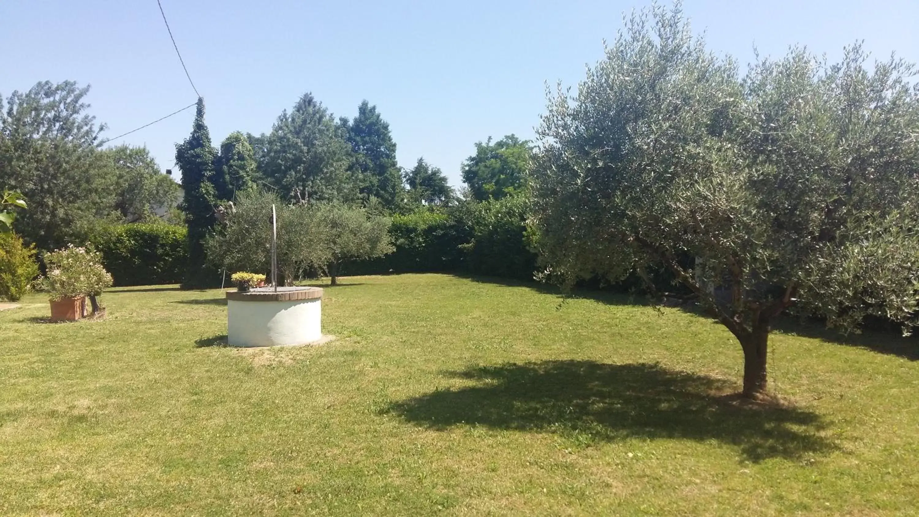 Garden in Borgo del Priolo B&B