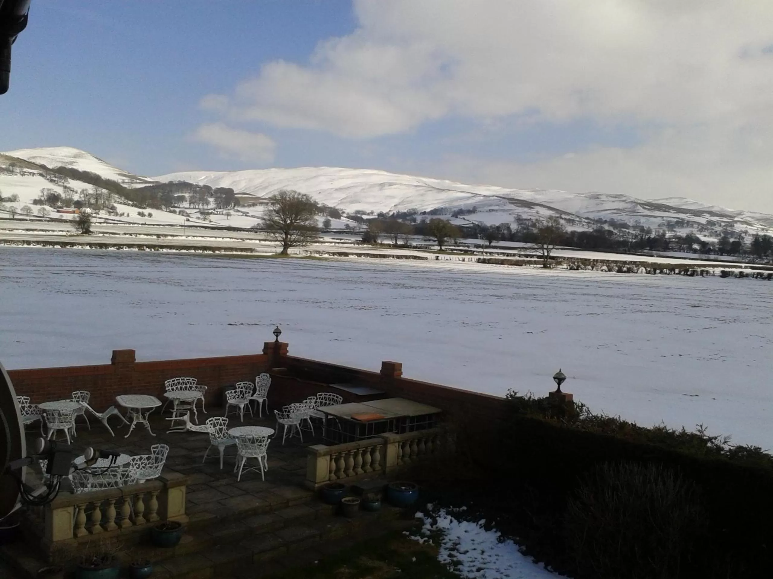 Winter in Tall Trees