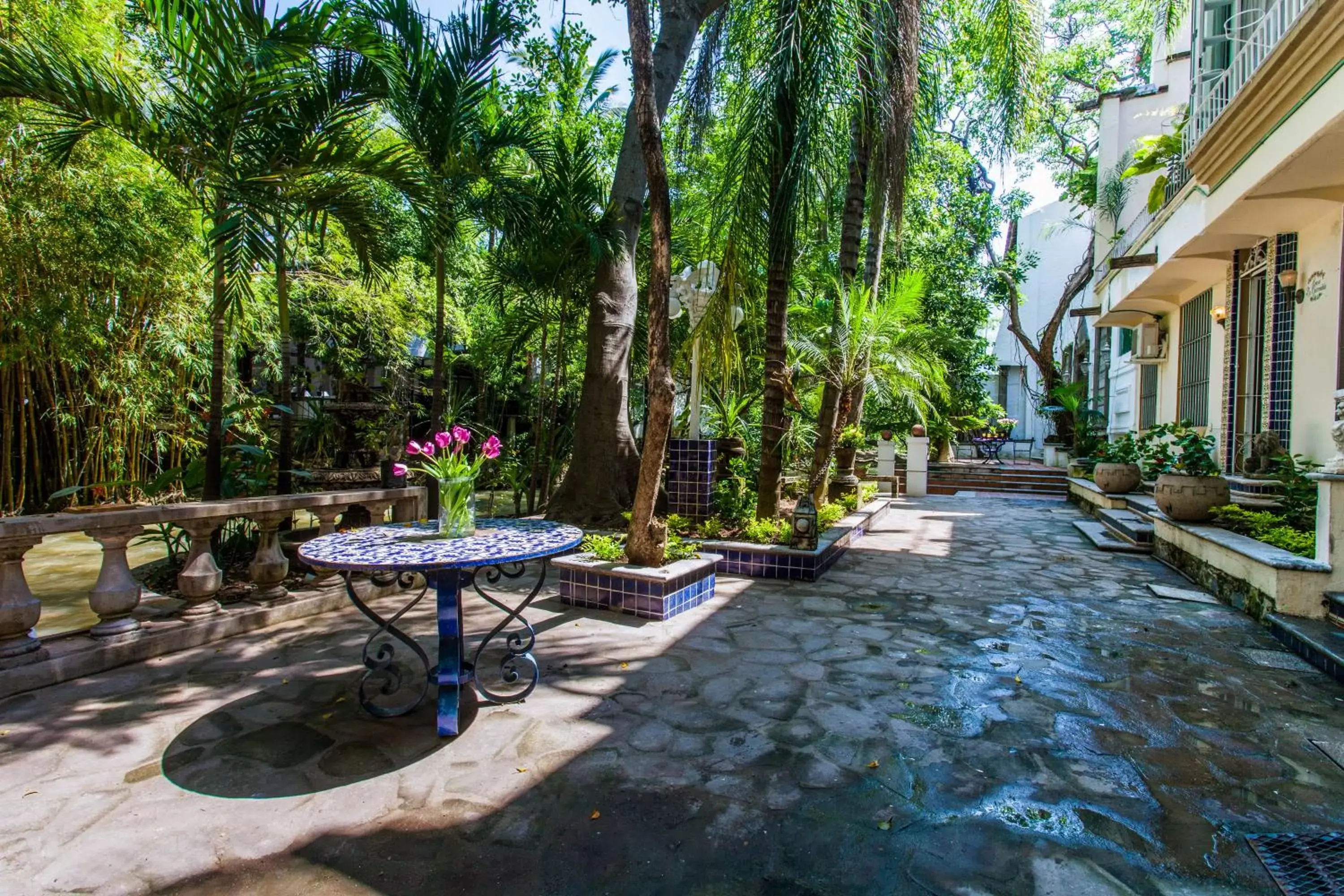 Patio in Garlands Del Rio