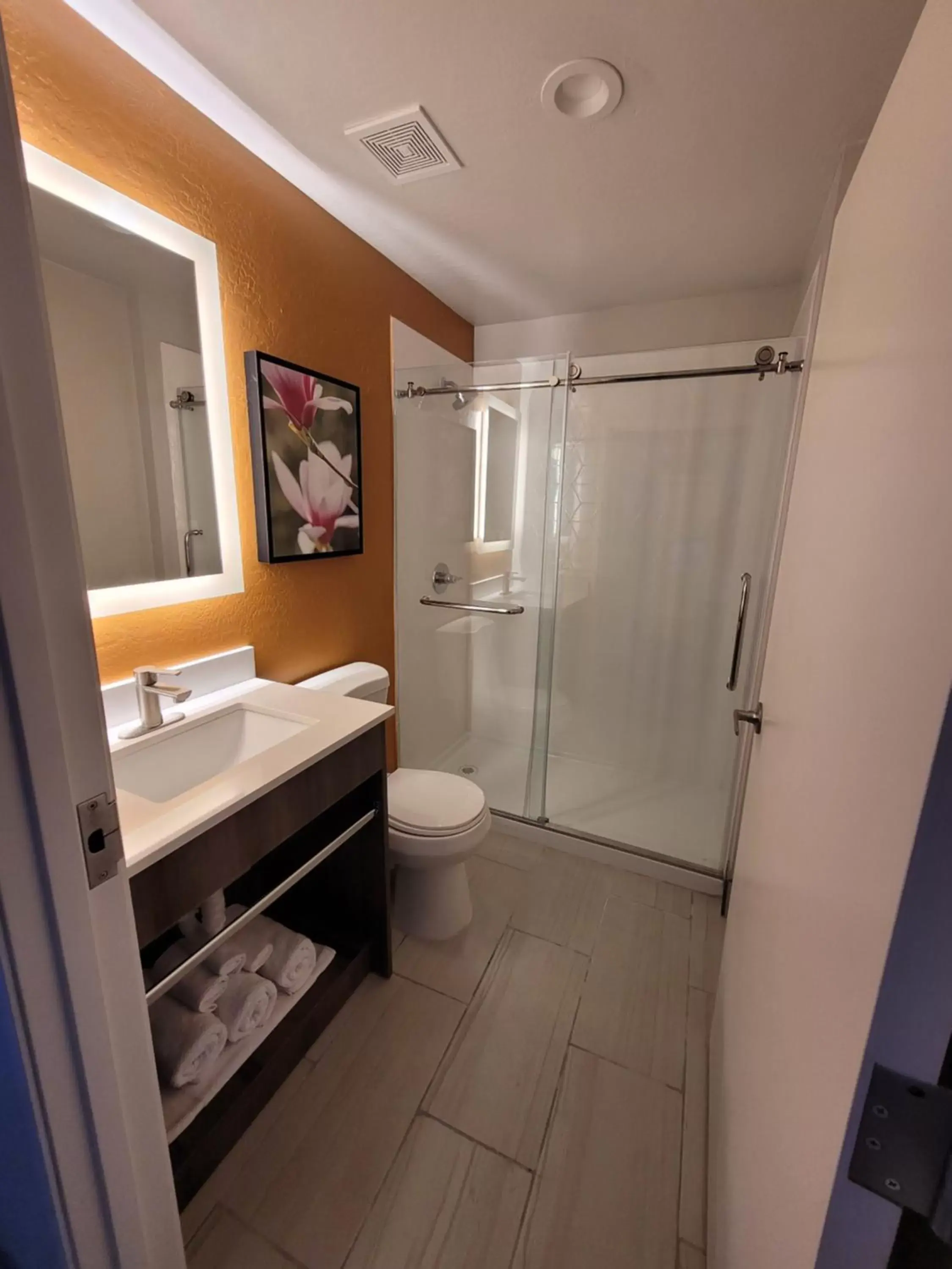 Shower, Bathroom in Best Western Bellemont Shadow Mountain Inn