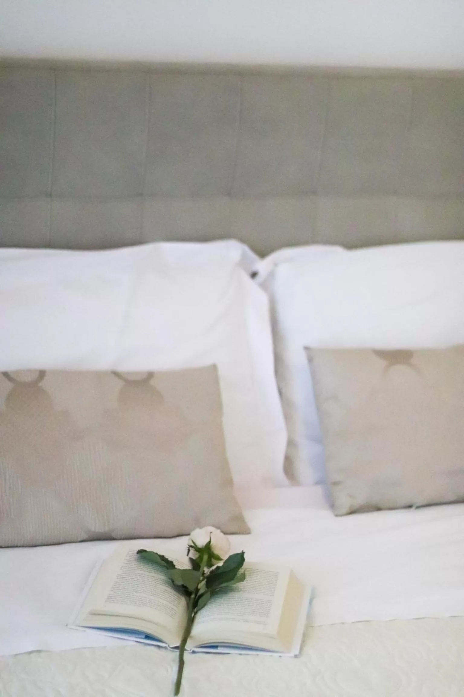 Bed in Villa Aurora B&B