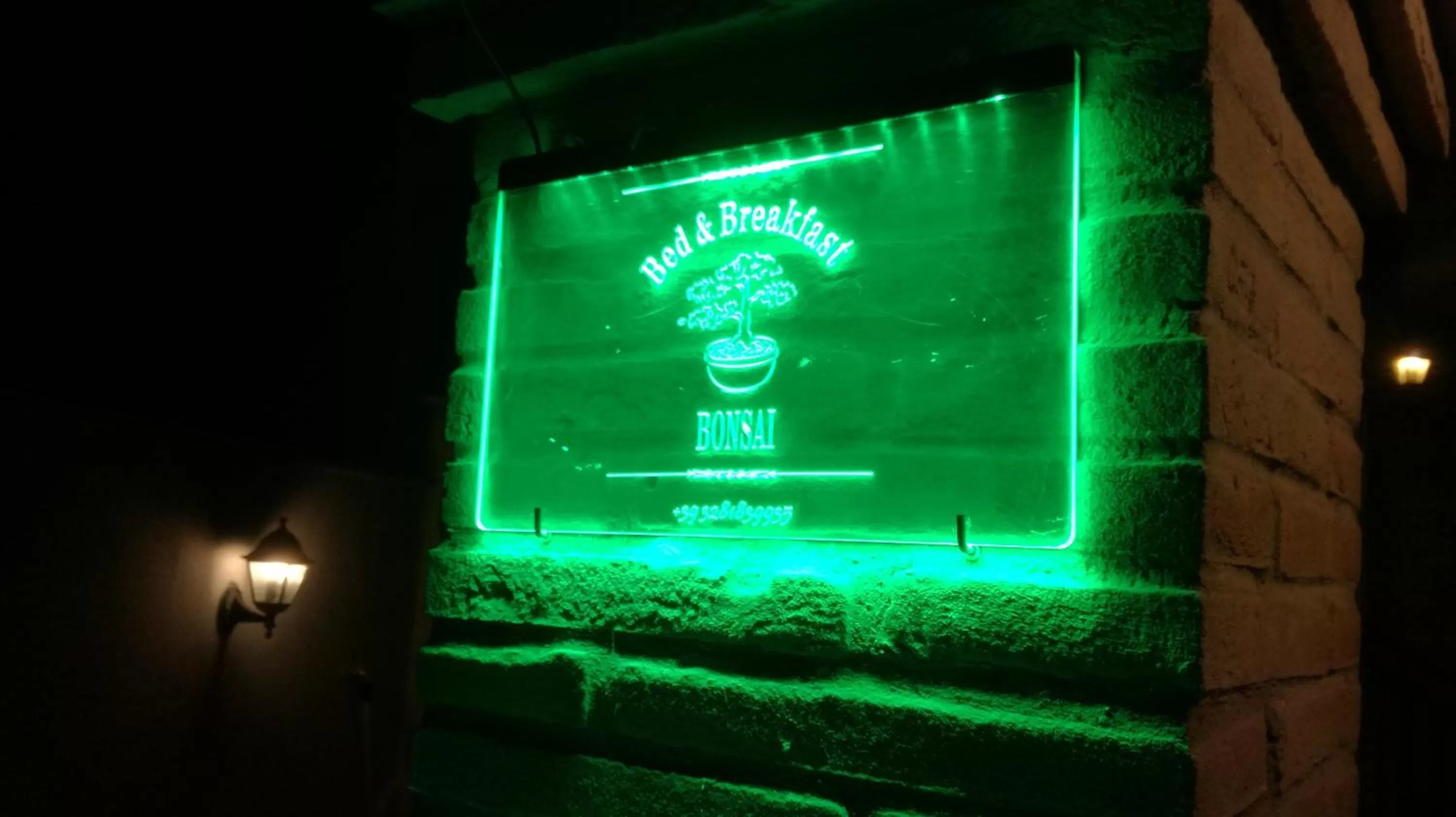 Bonsai Bed & Breakfast