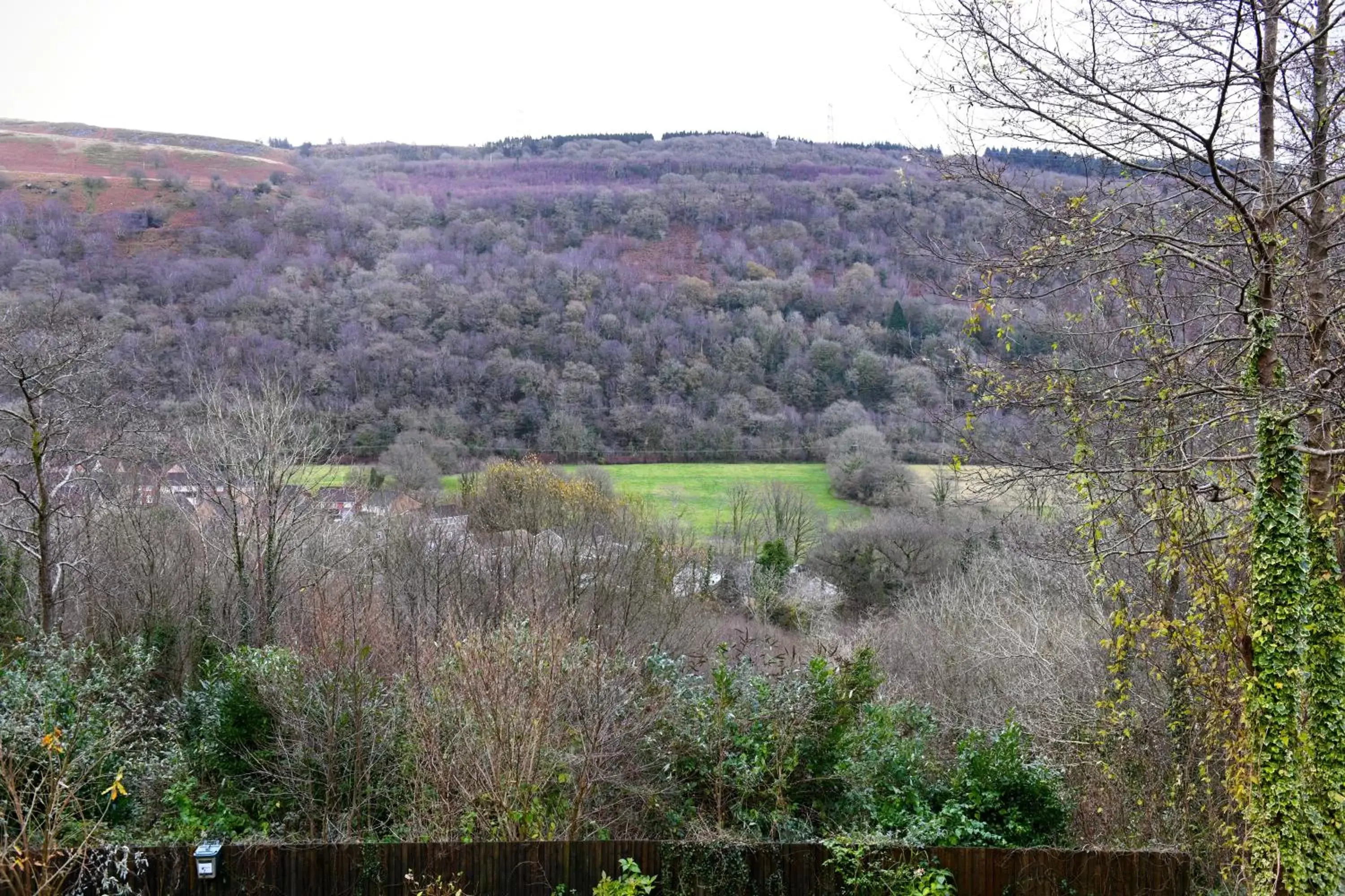 Natural Landscape in Cilbrwyn