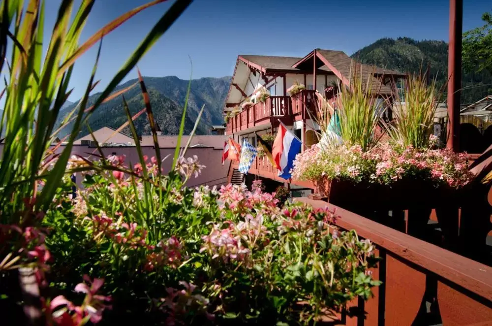 Facade/entrance, Property Building in Obertal Inn