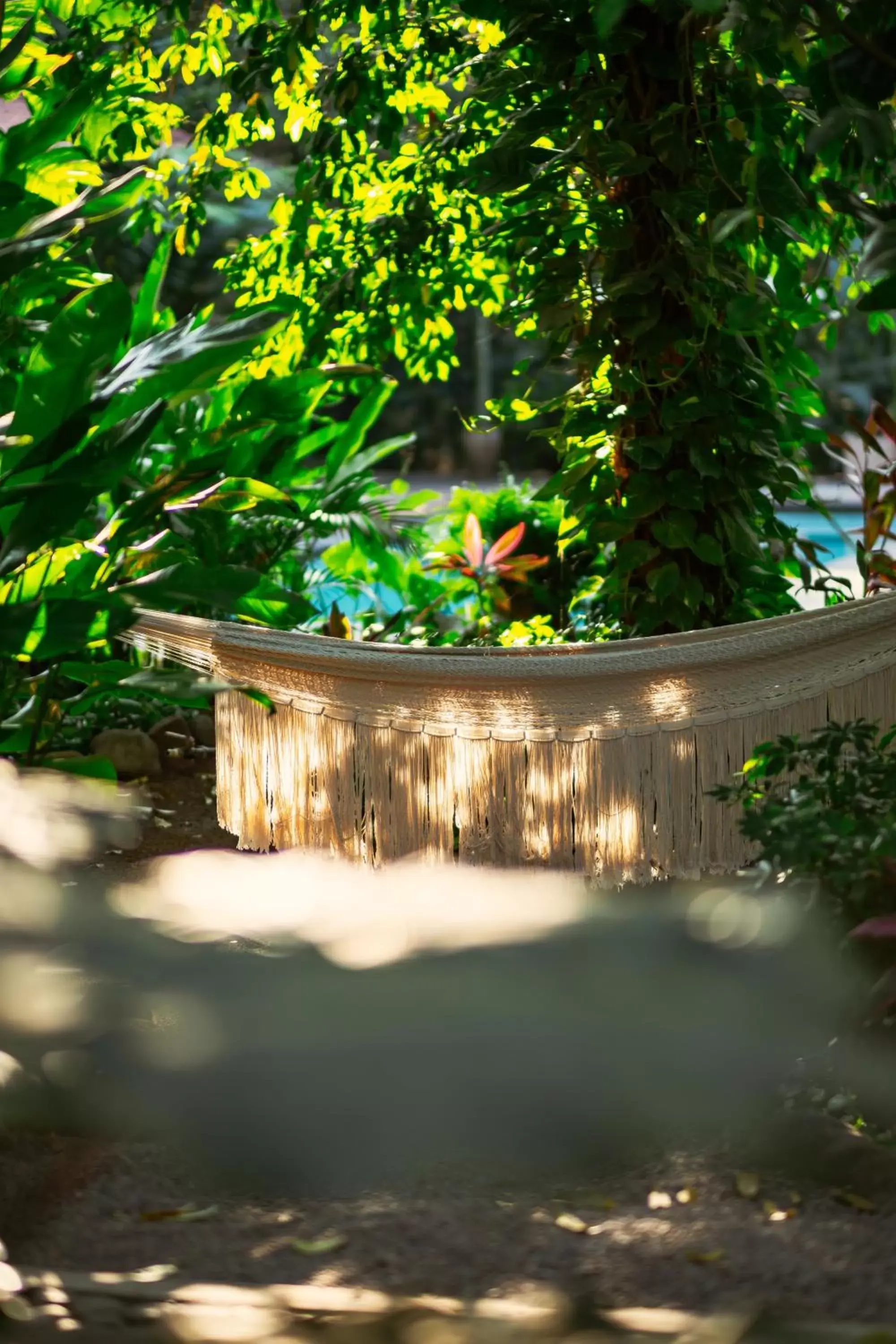 Garden view in La Paranera Hotel & Relax