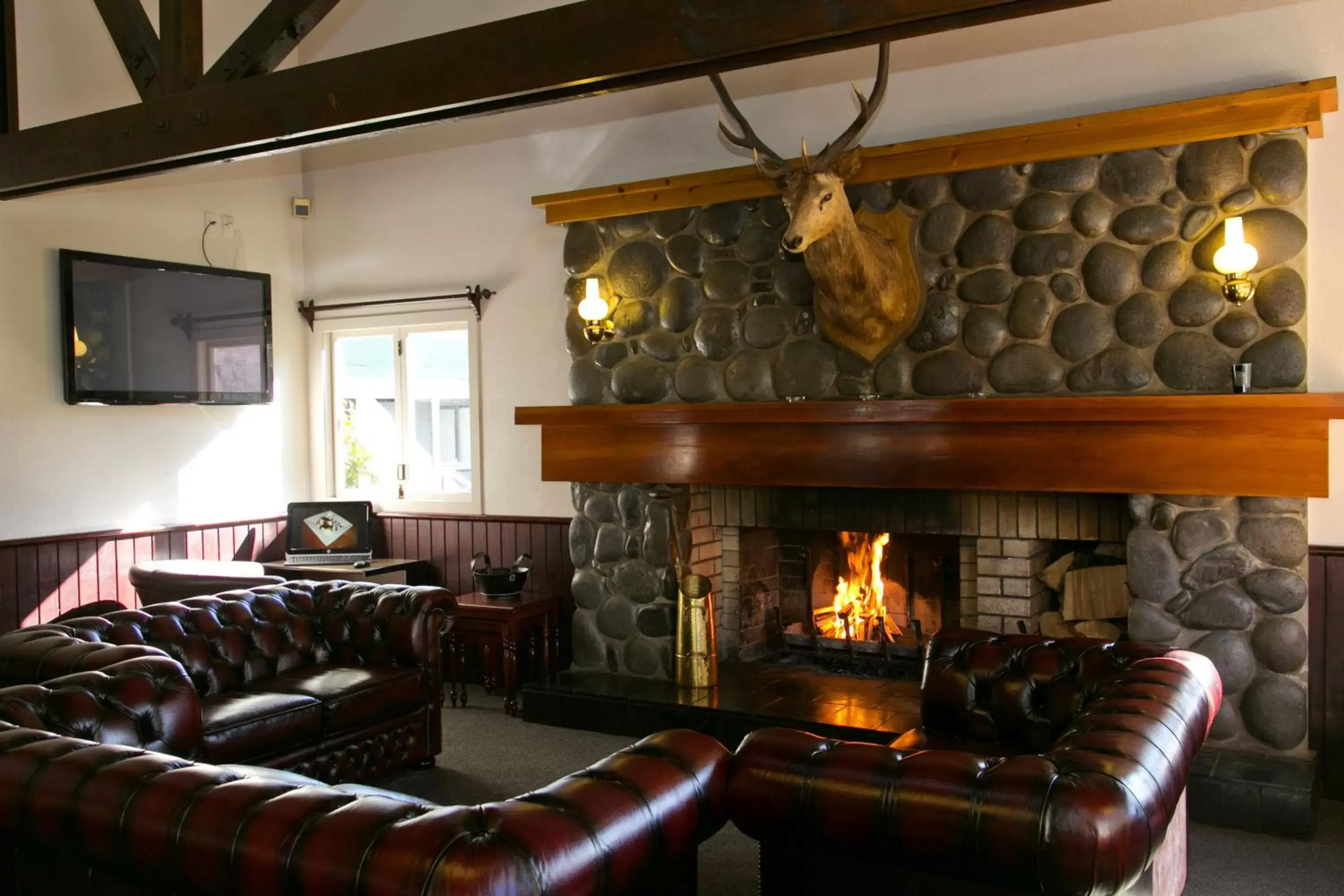 Lounge or bar, Seating Area in Turangi Bridge Motel