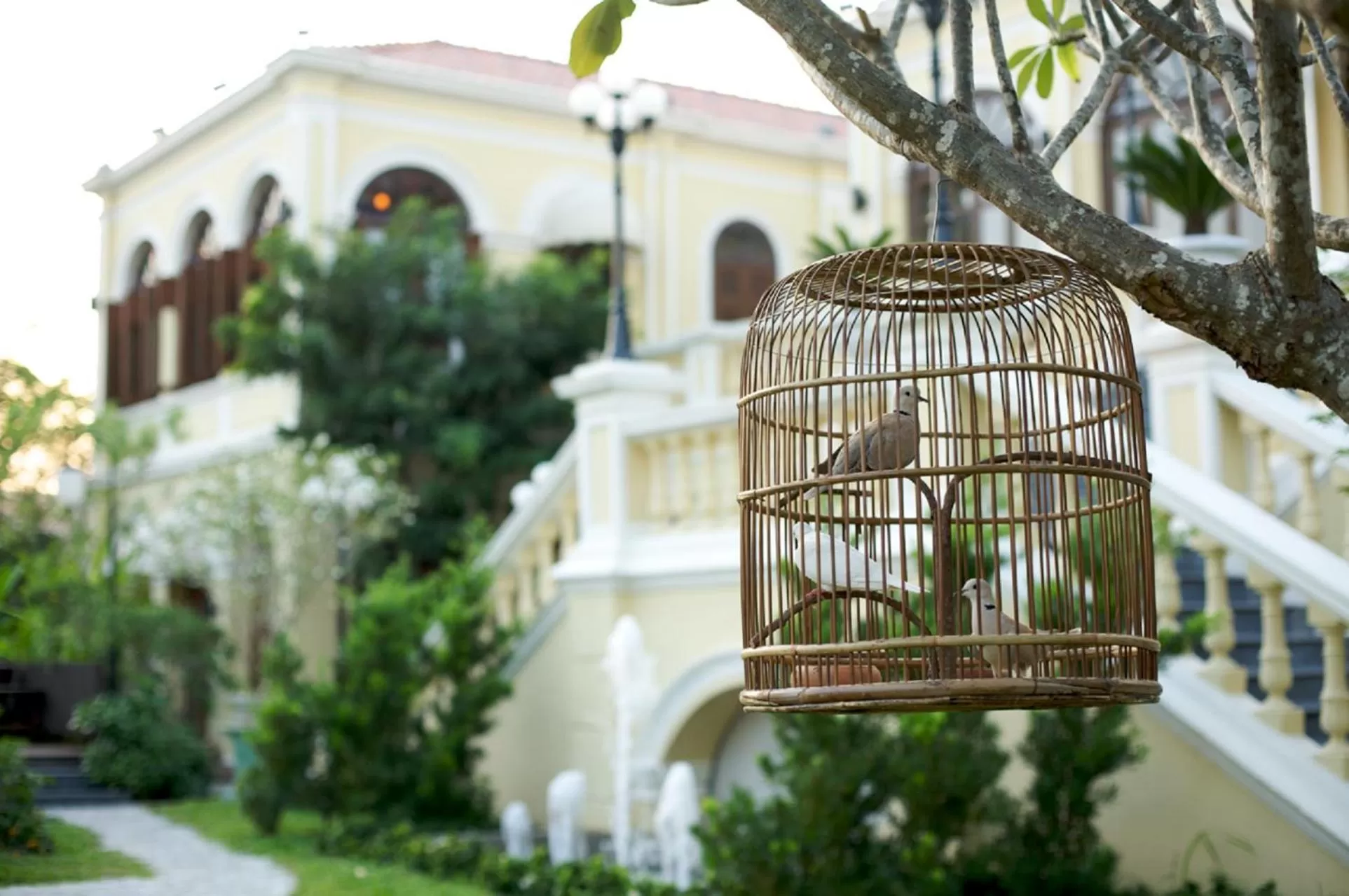 Other in Praya Palazzo