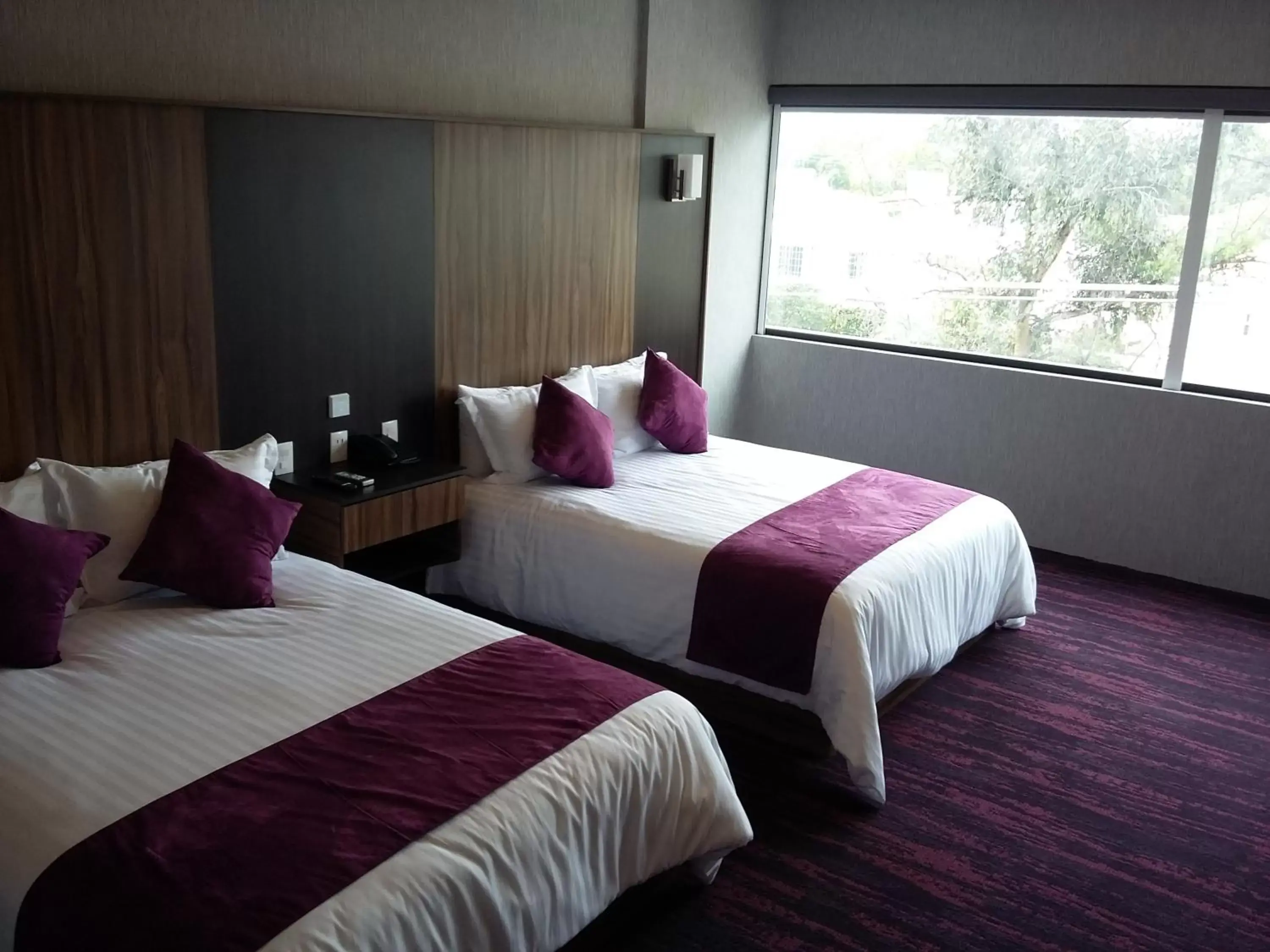 Photo of the whole room, Bed in Wyndham Garden Aguascalientes Hotel & Casino
