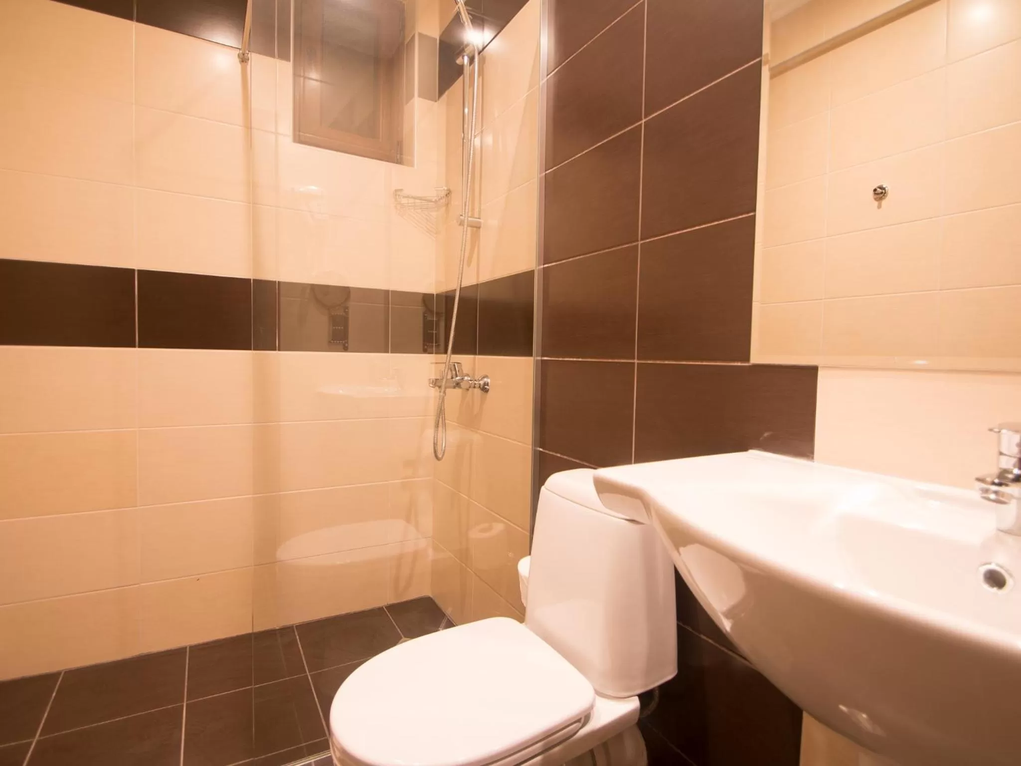 Bathroom in Park Hotel Asenevtsi