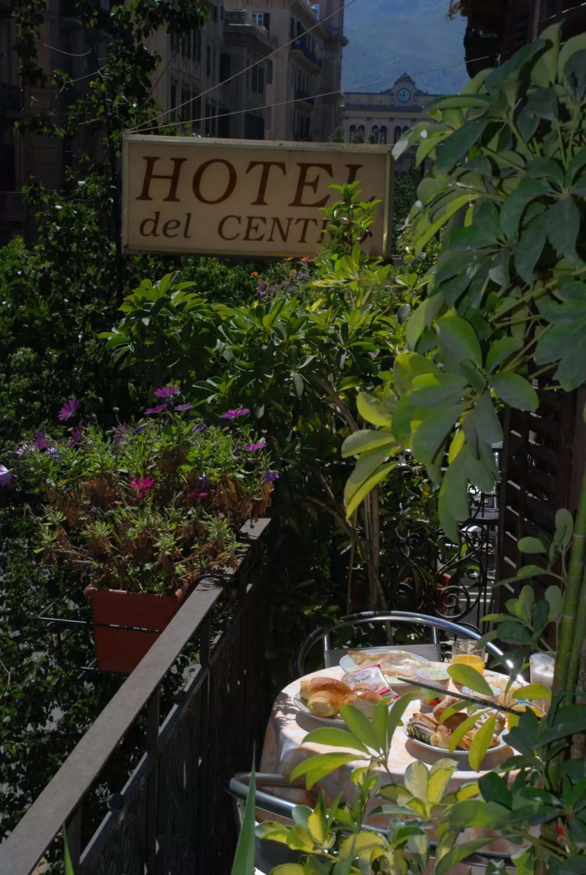 Garden, Pool View in Hotel del Centro