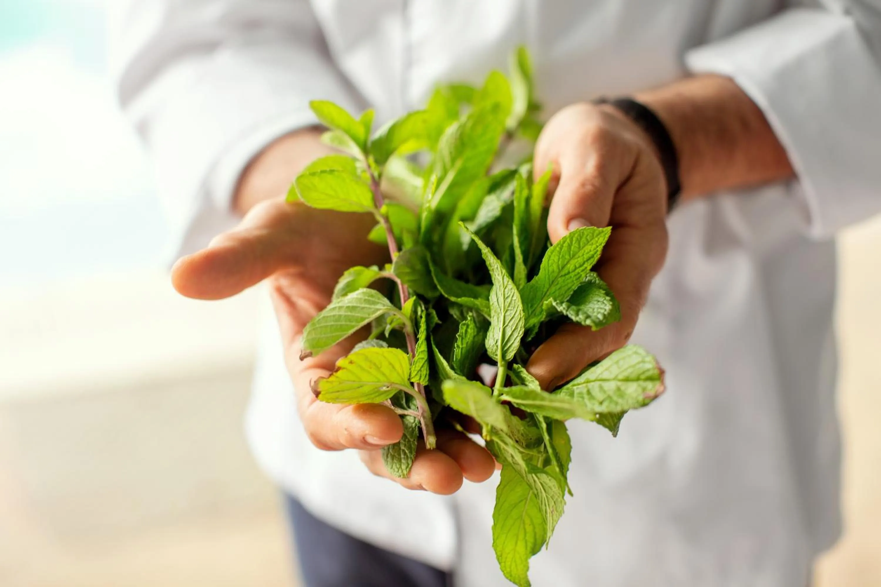 Day in Mediterranean Village Hotel & Spa