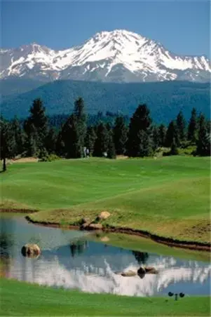 On site, Golf in Mount Shasta Resort