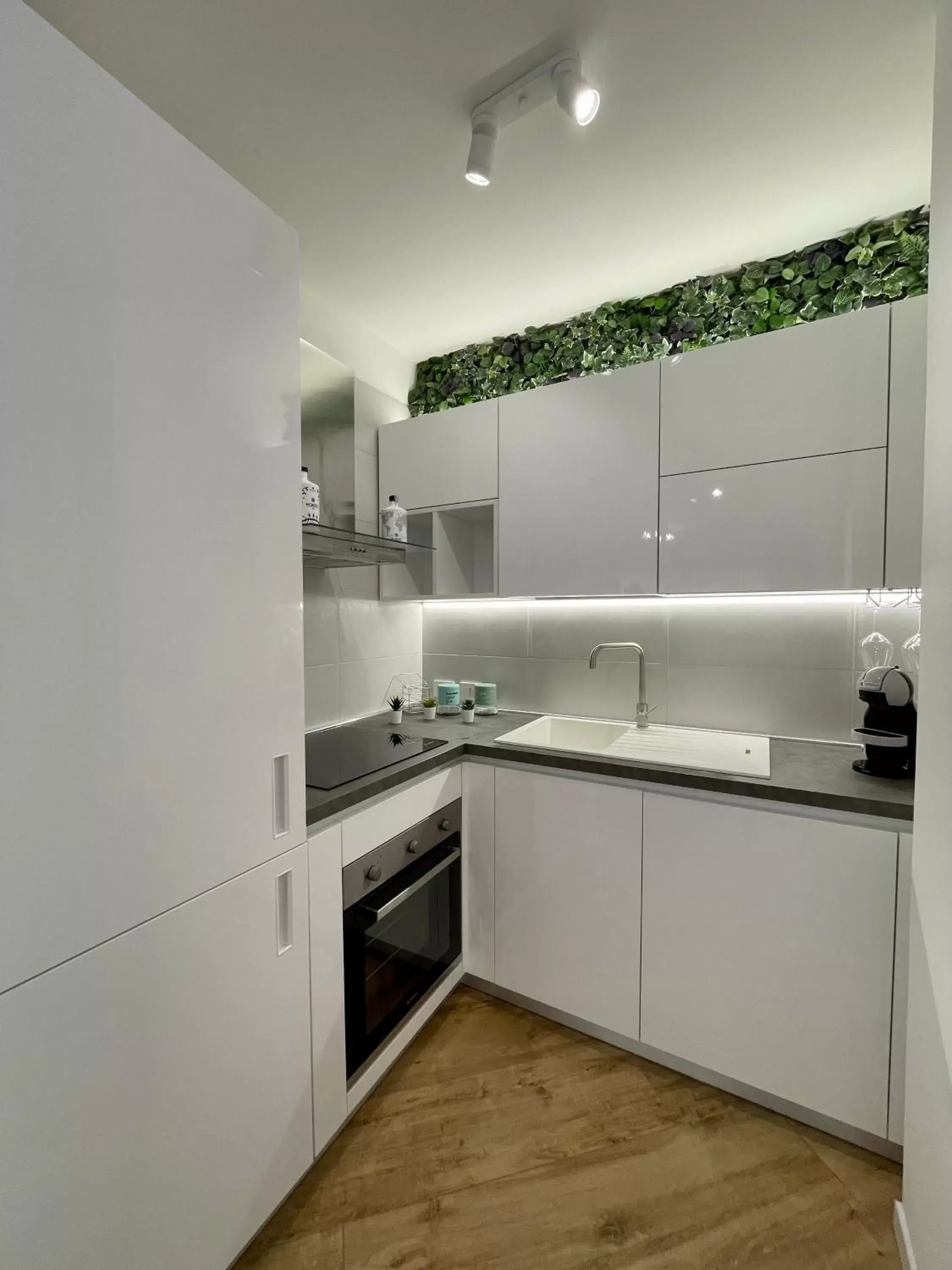 Breakfast, Kitchen/Kitchenette in ALBARIA ROOMS-APARTMENTS