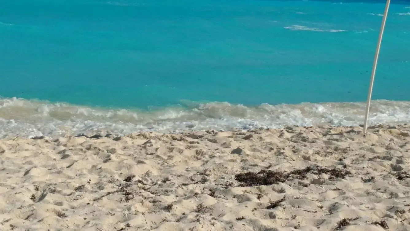 Beach in Apartment Ocean Front Cancun