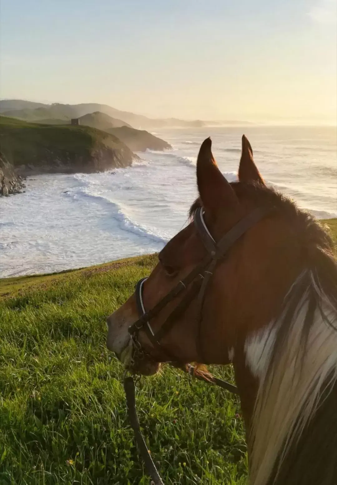 Horse-riding, Horseback Riding in Posada Santa Ana