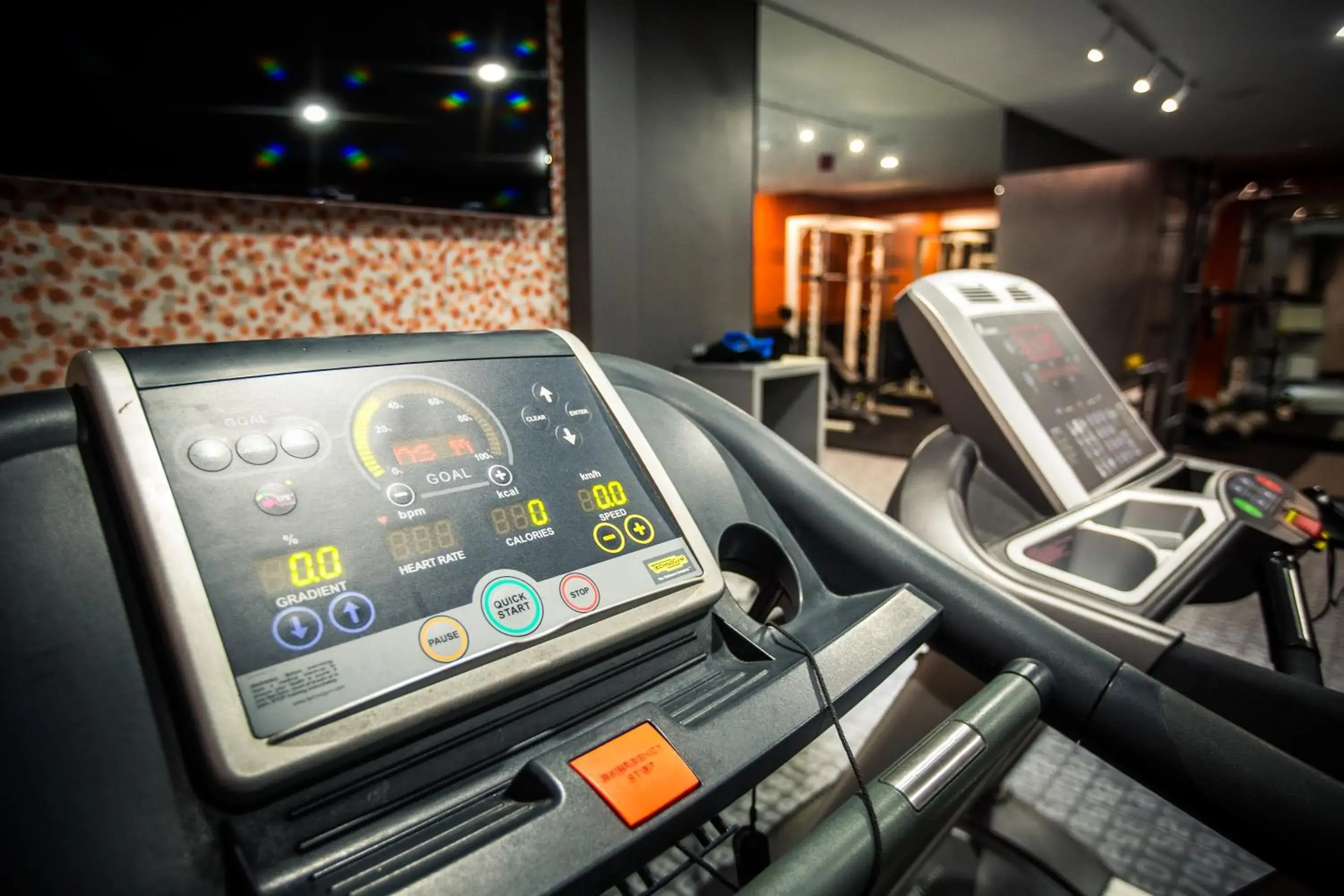 Spa and wellness centre/facilities, Fitness Center/Facilities in Mercure Riga Centre