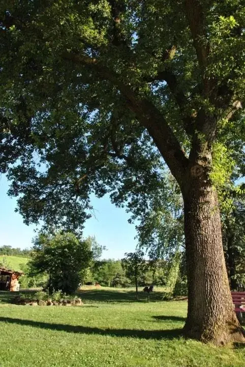 Garden in B&B La vecchia quercia Home Restaurant