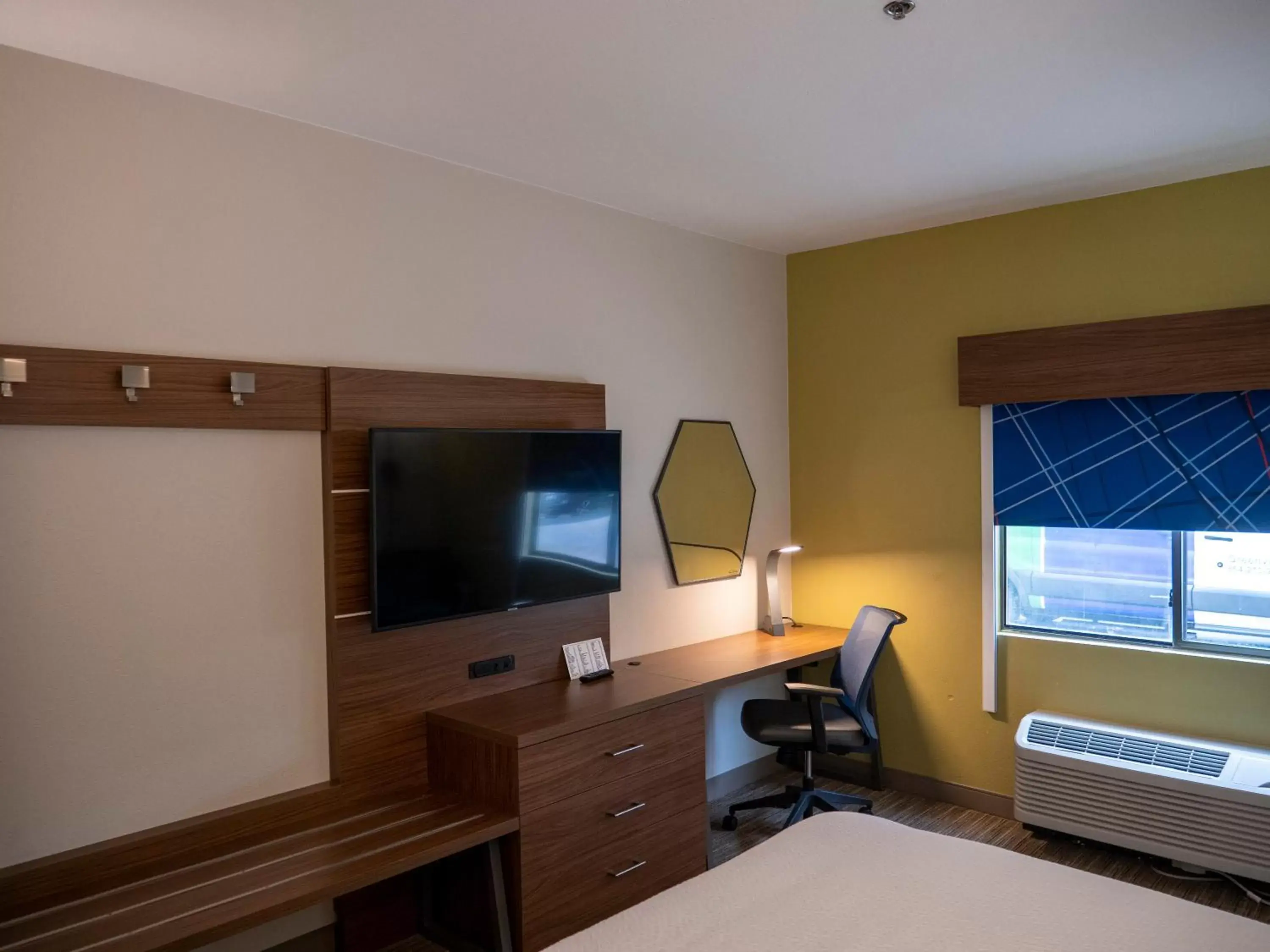 TV/Entertainment Center in Holiday Inn Express & Suites Greenville Airport, an IHG Hotel