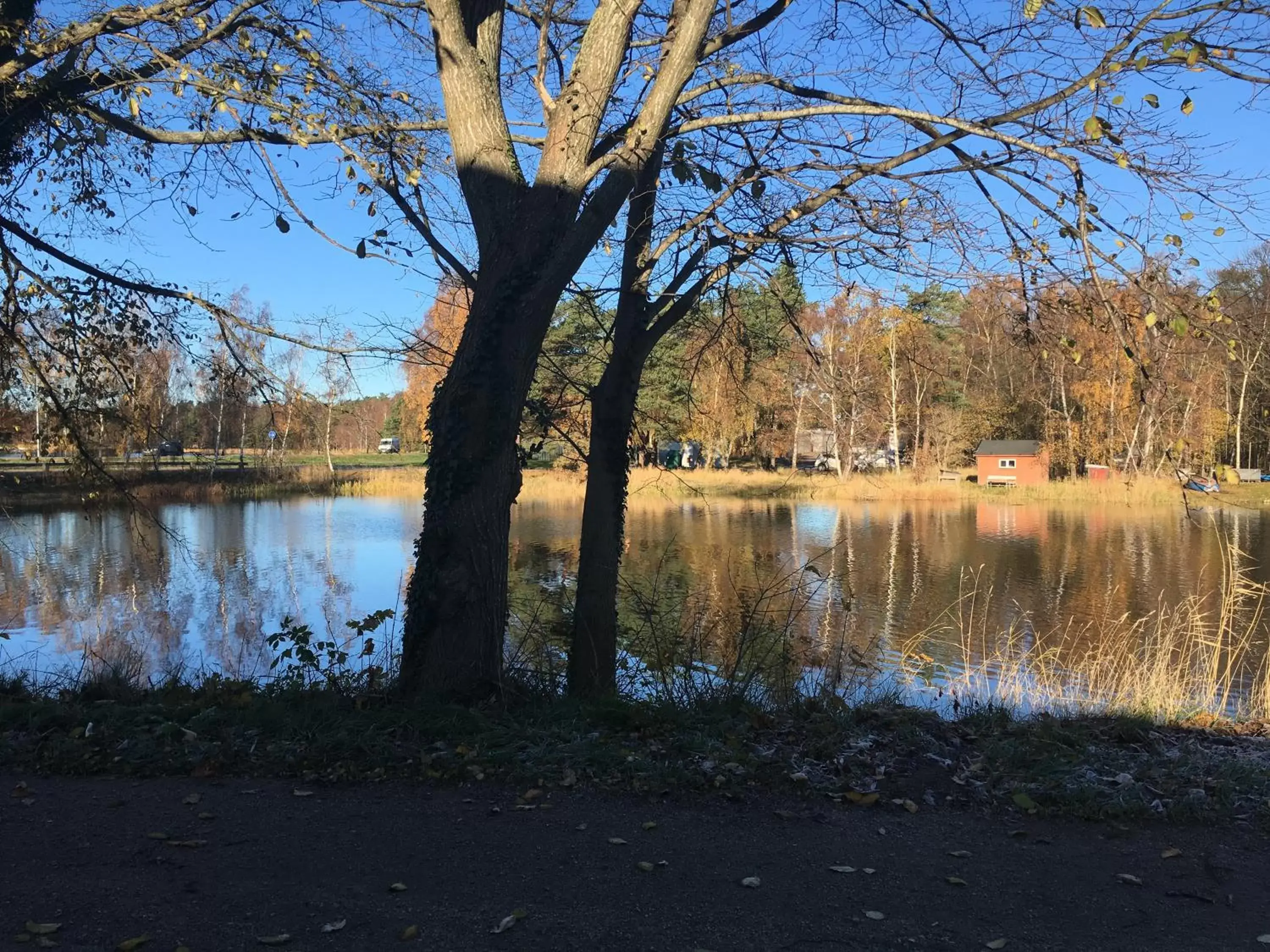 River view, Natural Landscape in Hotell Svanen