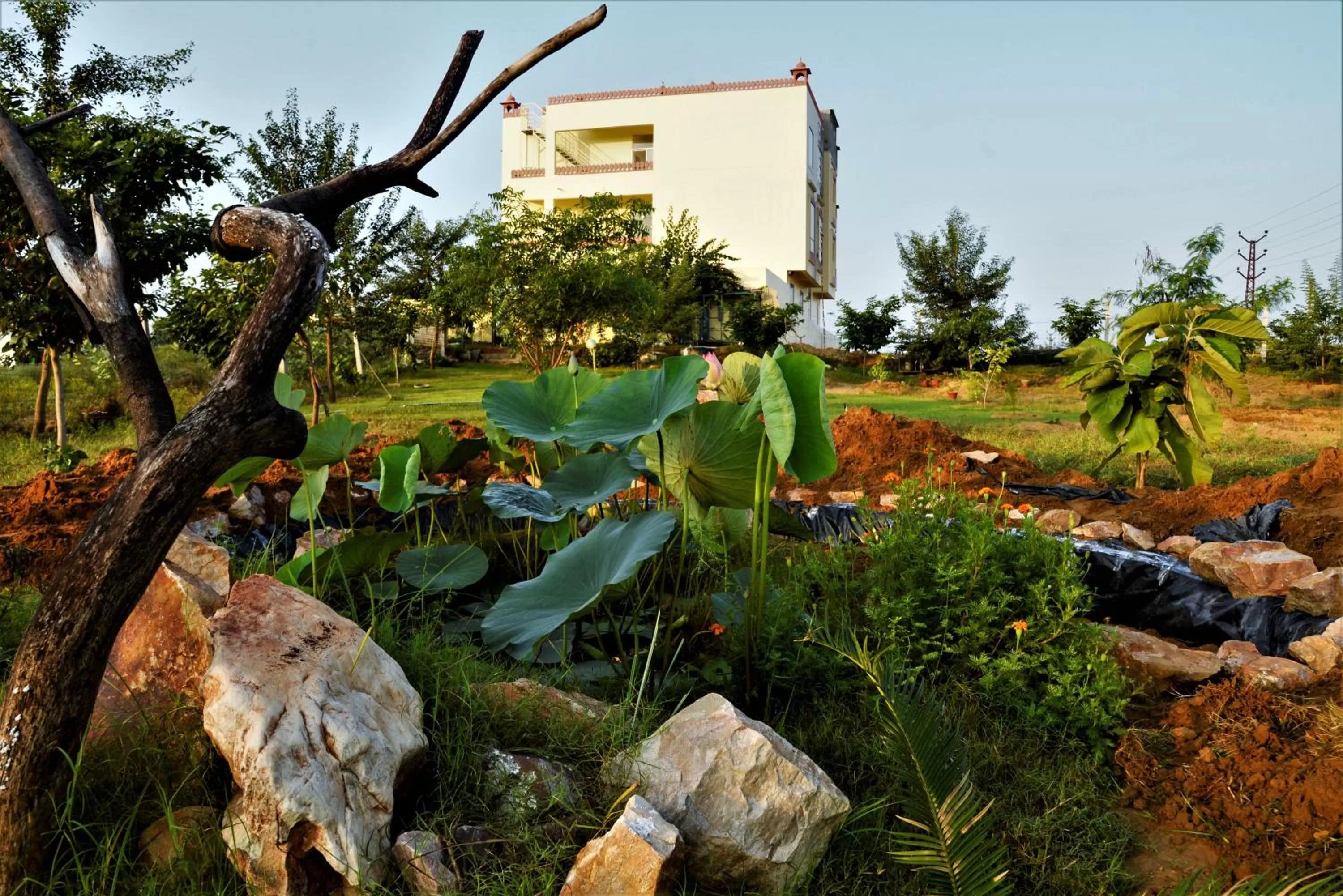 Property building in Omak Tiger Seven