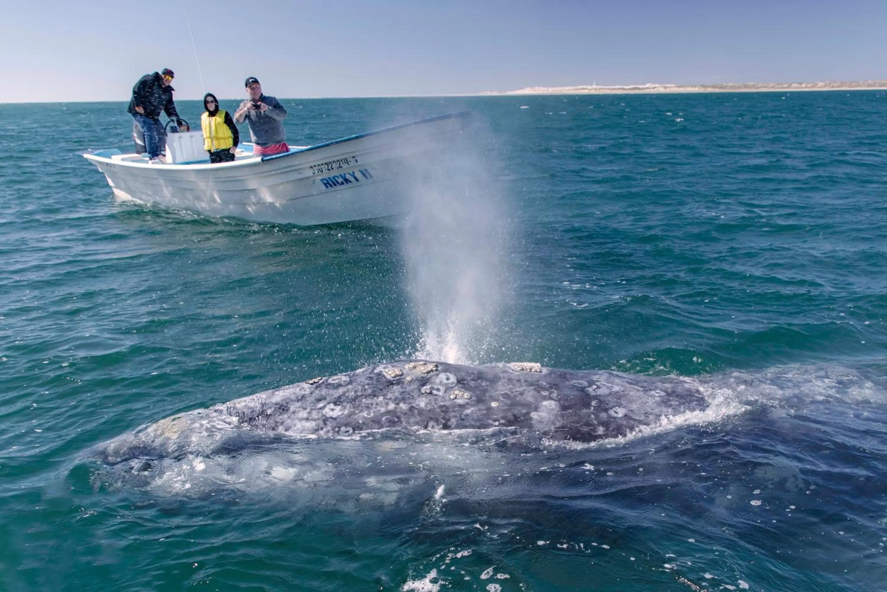 Winter in Hotel Posada Luna Sol