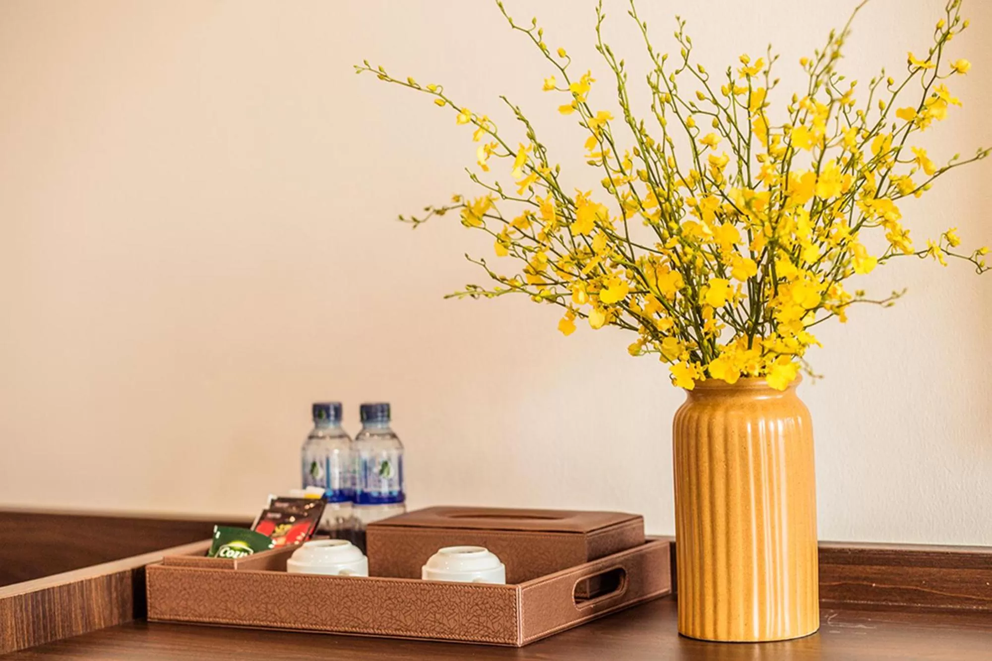 TV and multimedia in Salina Hotel Ninh Binh