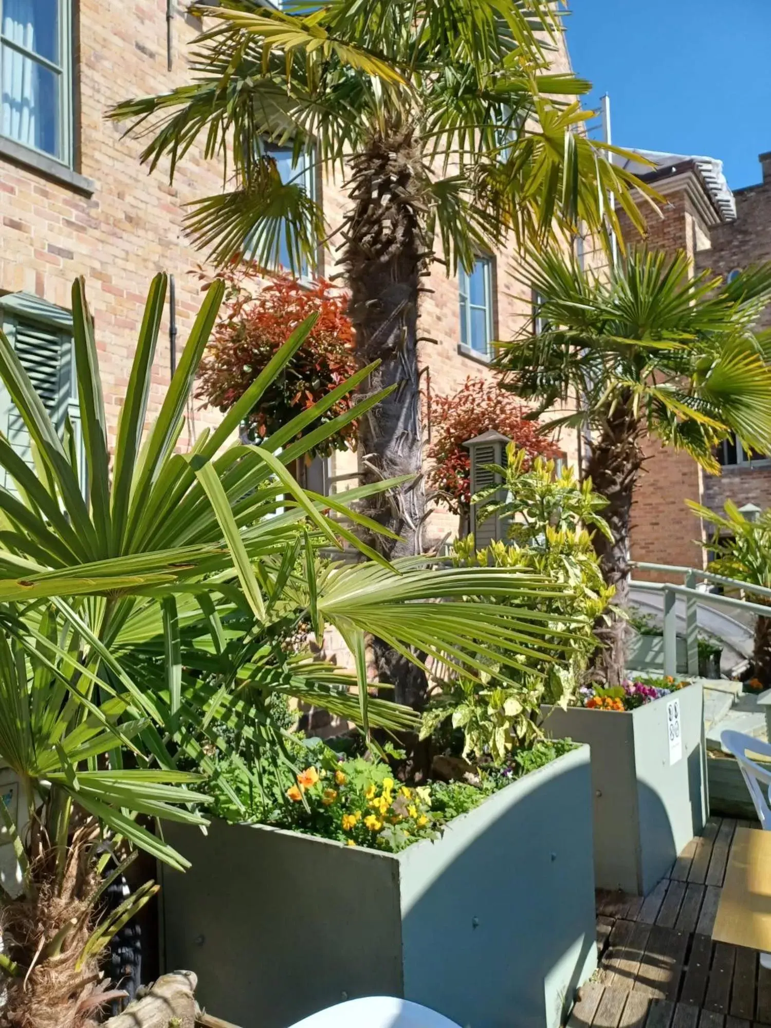 Patio in Hotel Koffieboontje