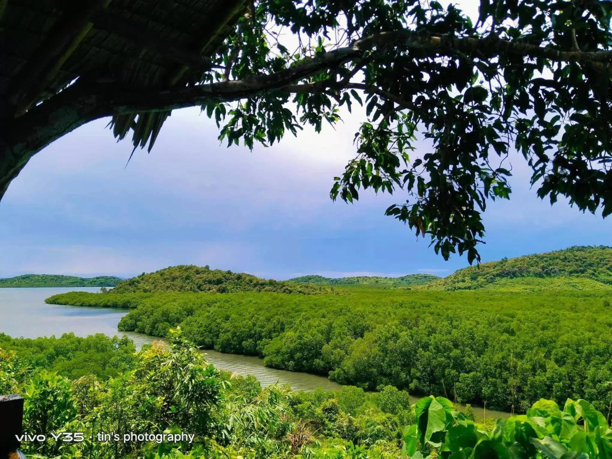 Natural Landscape in Sanctuaria Treehouses Busuanga