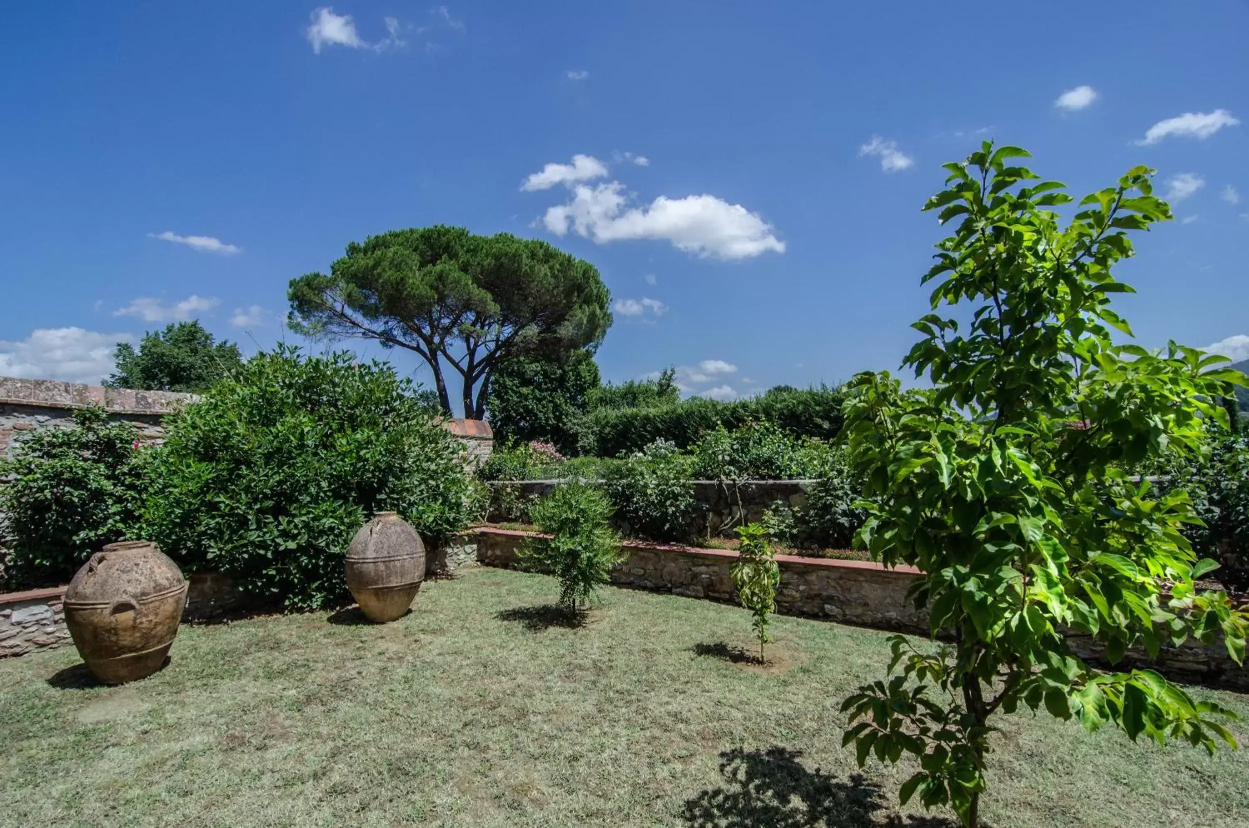 Day, Garden in Hotel Villa Cheli