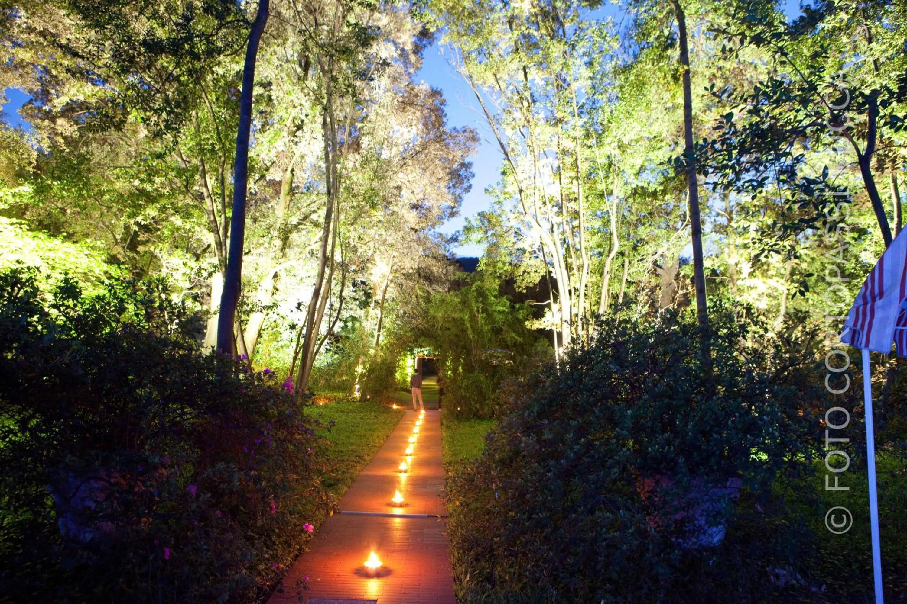 Garden in Hotel Villa La Principessa