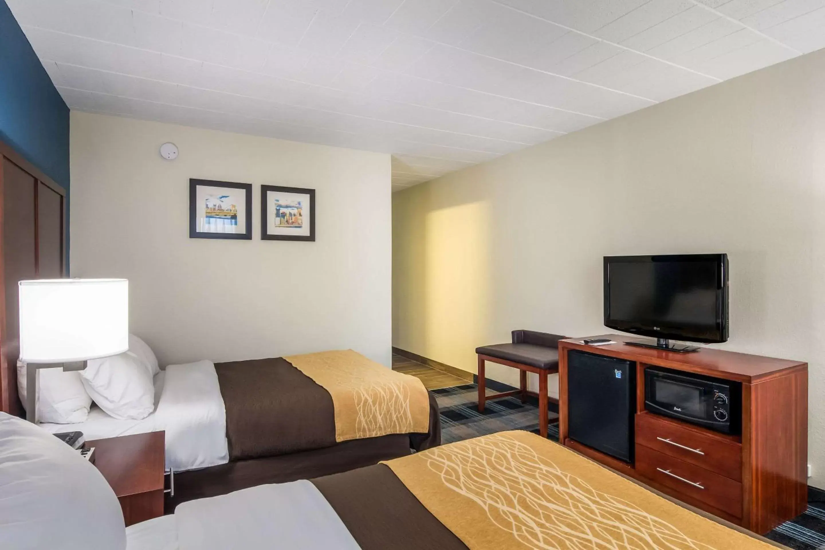 Photo of the whole room in Comfort Inn and Suites Pittsburgh