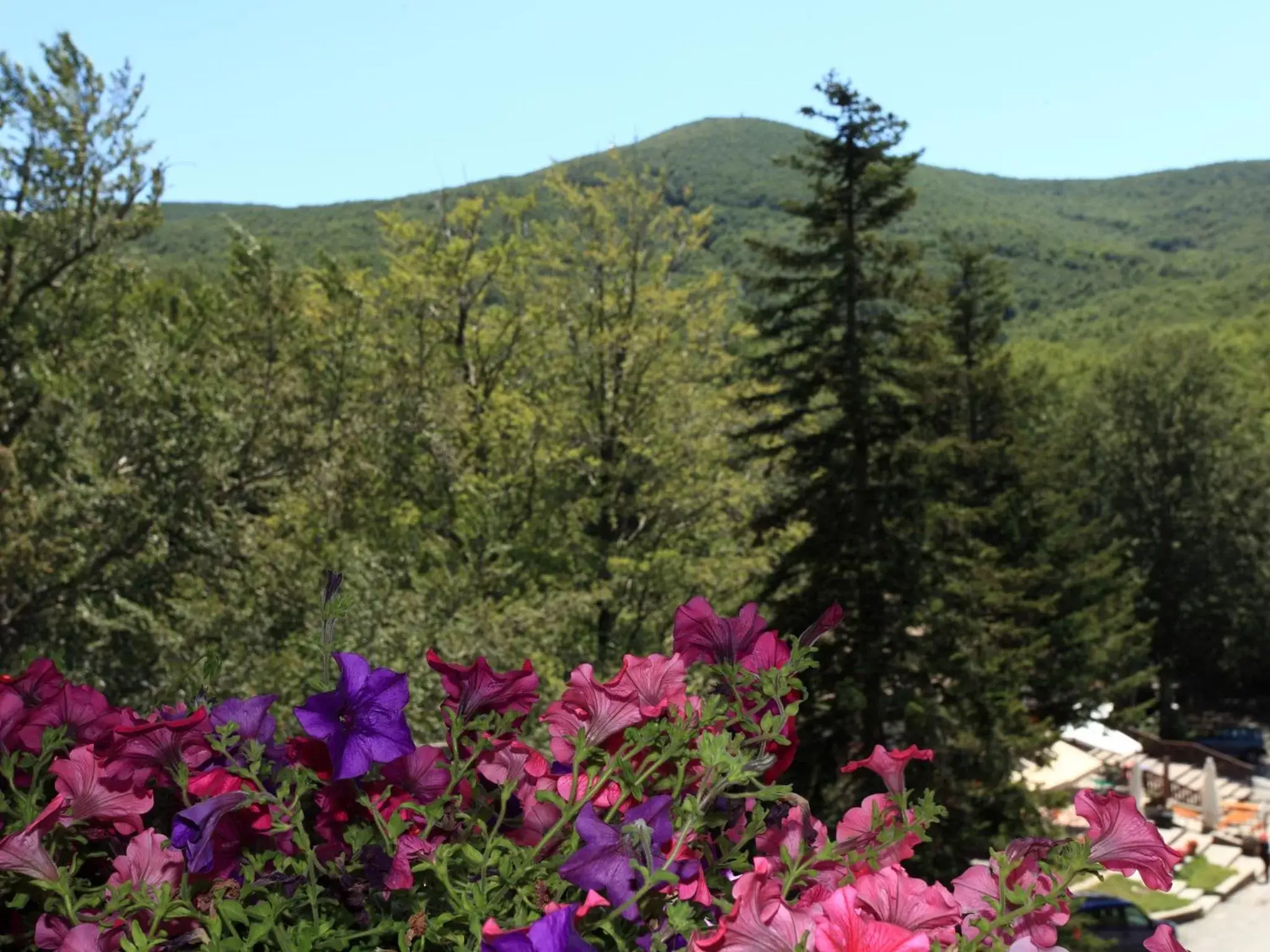 Mountain View in Albergo Le Macinaie - Monte Amiata