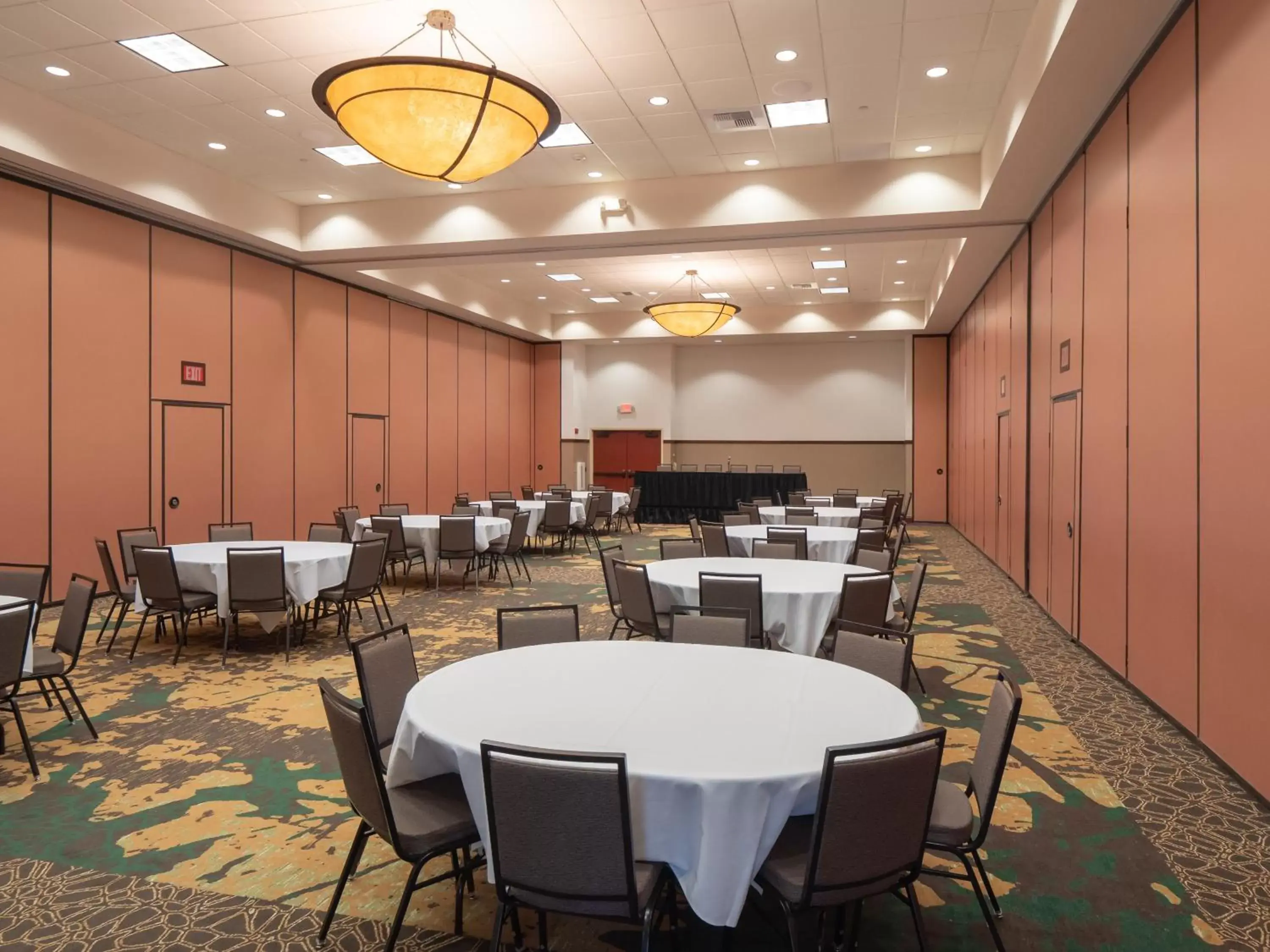 Meeting/conference room in Holiday Inn Stevens Point - Convention Center, an IHG Hotel
