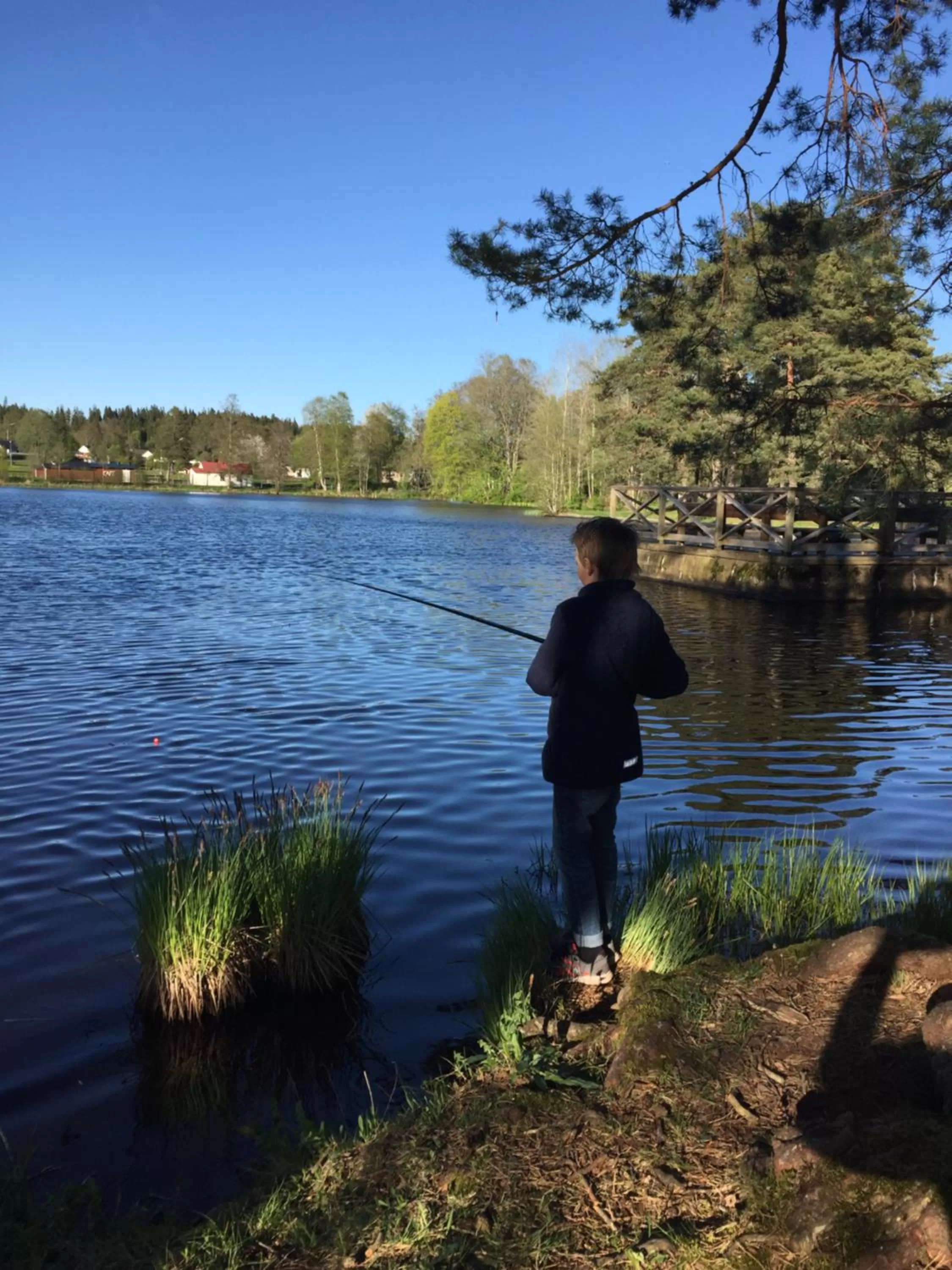 Fishing in KvarnDammens Bed & Breakfast