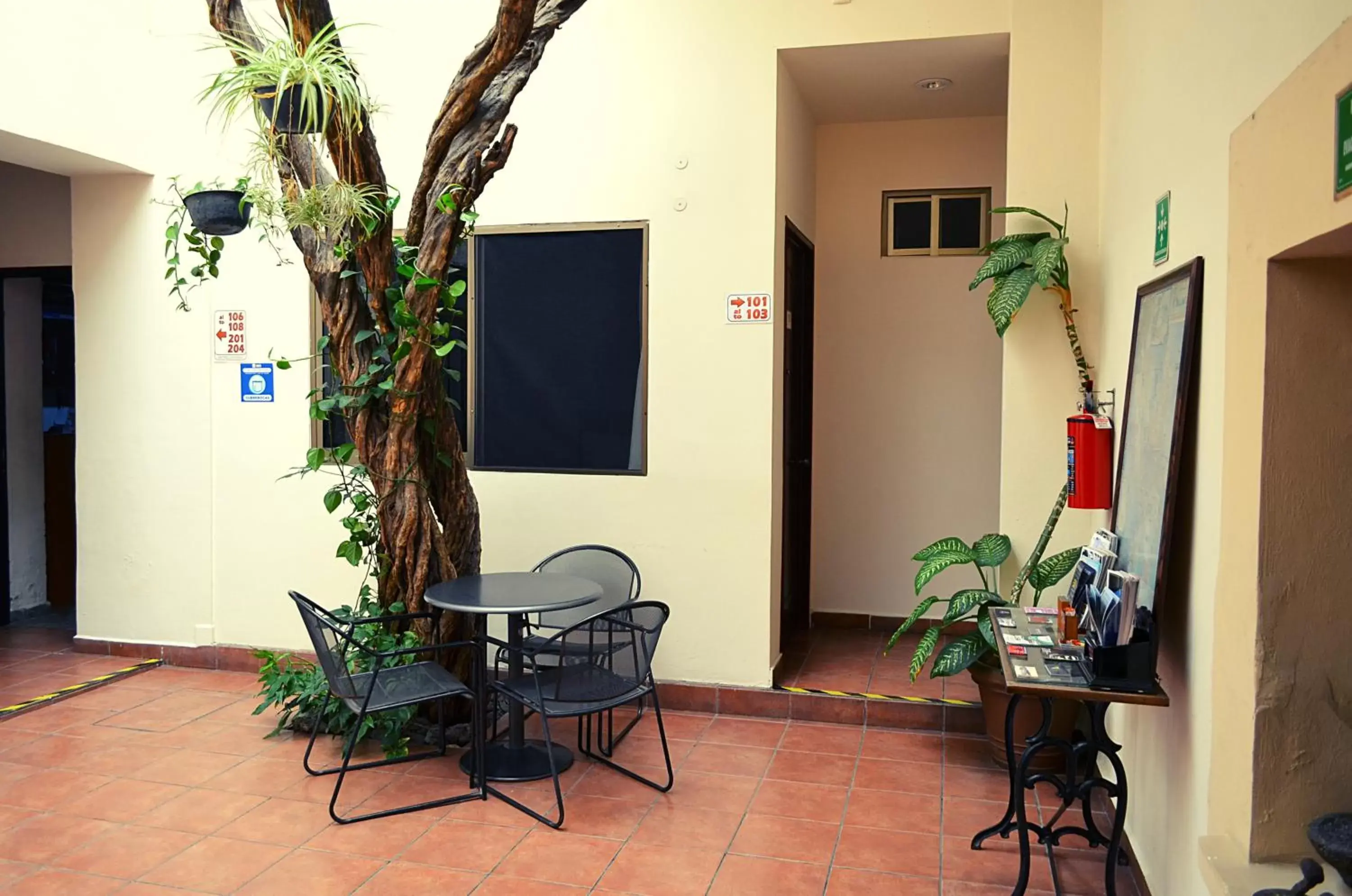 Area and facilities in Hotel Don Nino