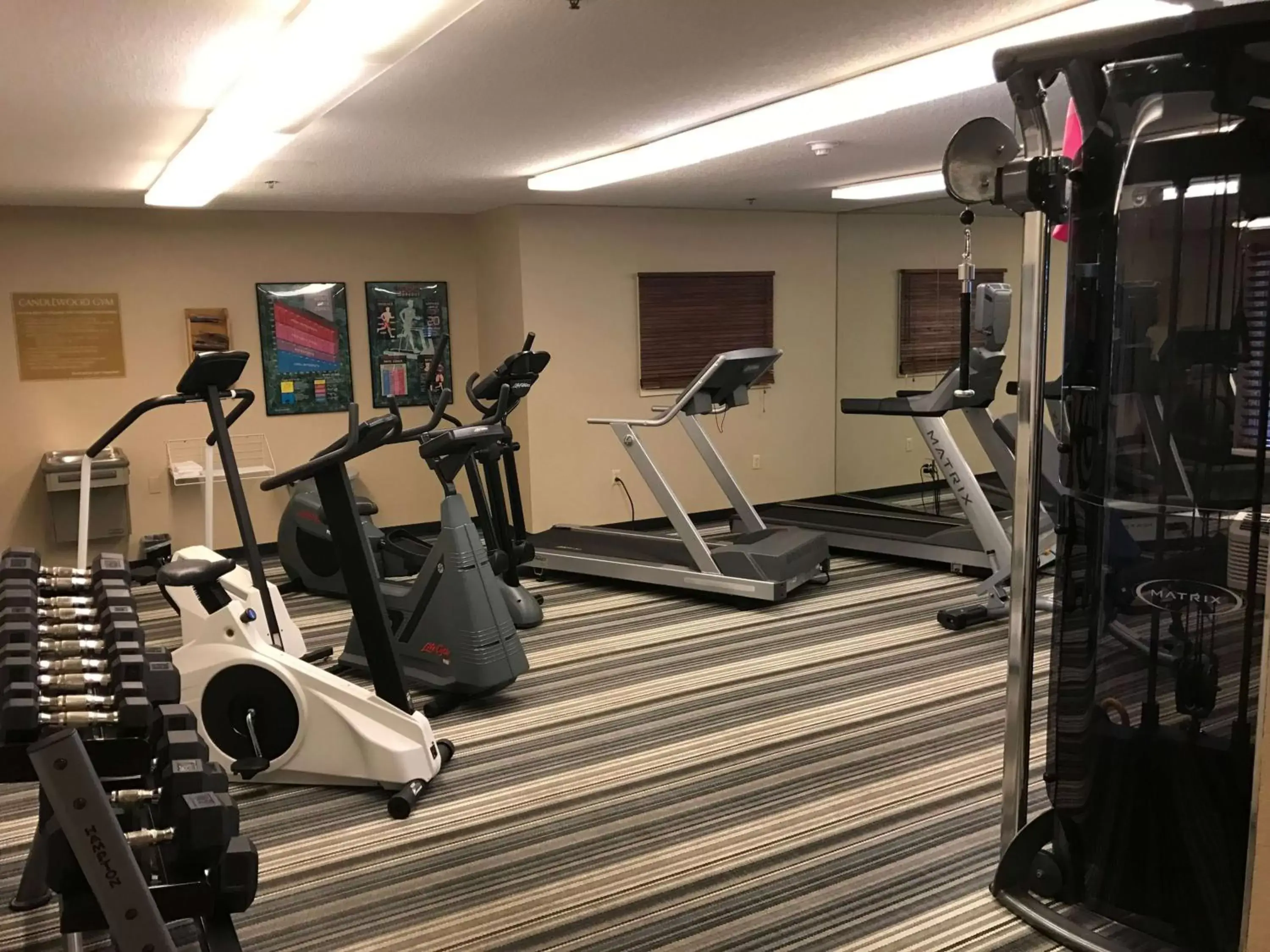 Fitness centre/facilities in Sonesta Simply Suites Chicago Naperville Fitness centre/facilities in Sonesta Simply Suites Chicago Naperville