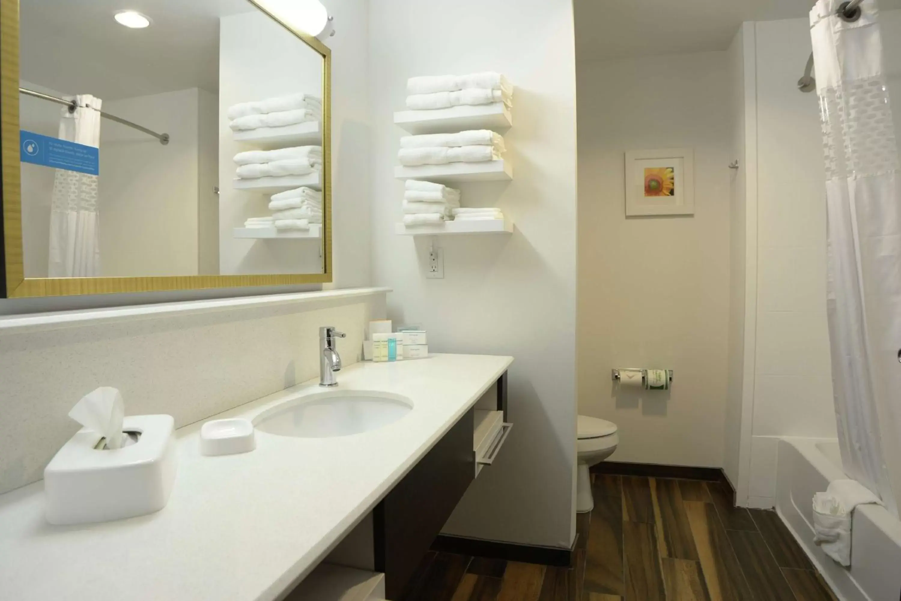 Bathroom in Hampton Inn & Suites Ponca City